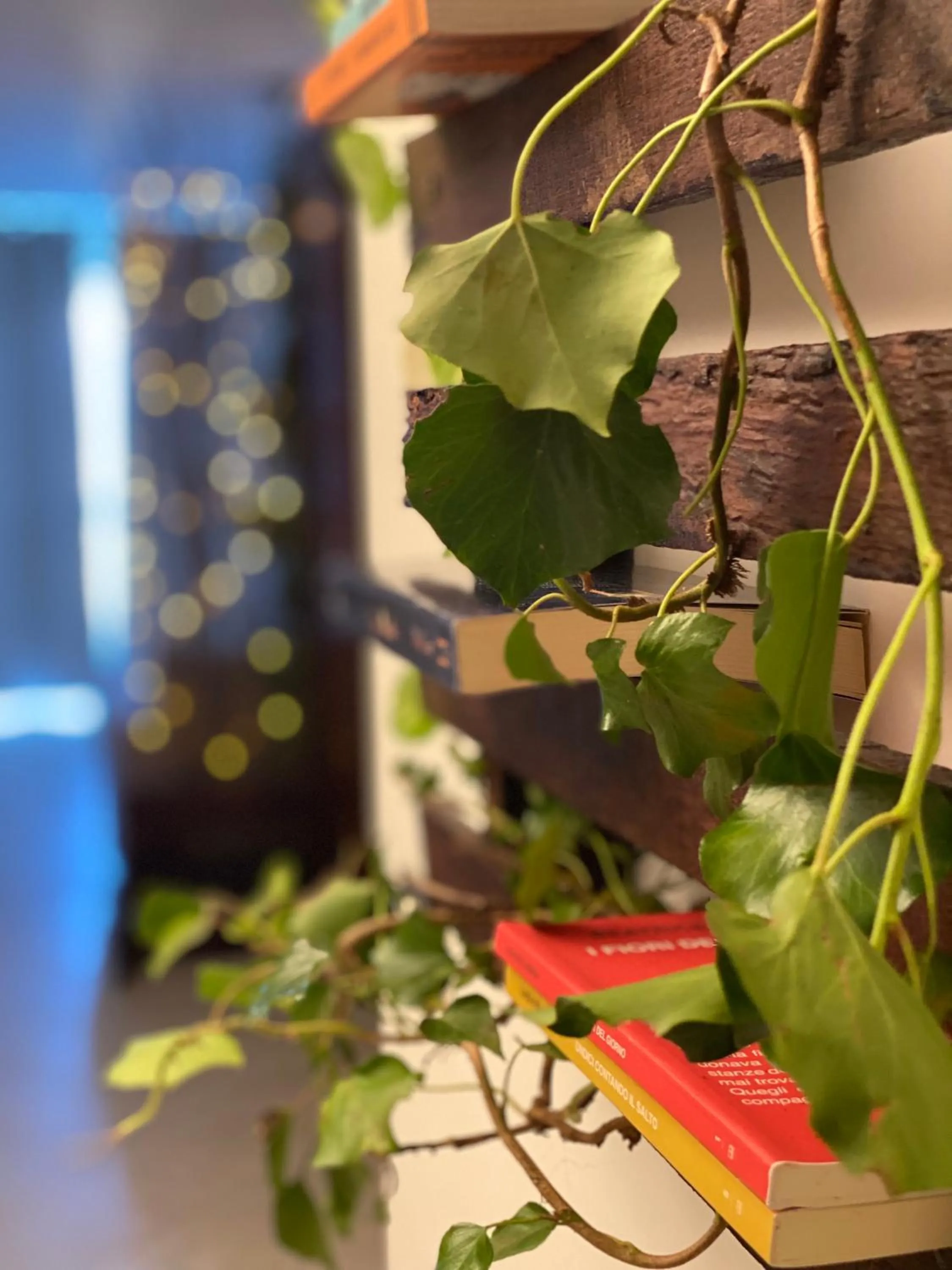 Decorative detail in B&B Il giardino di Armida