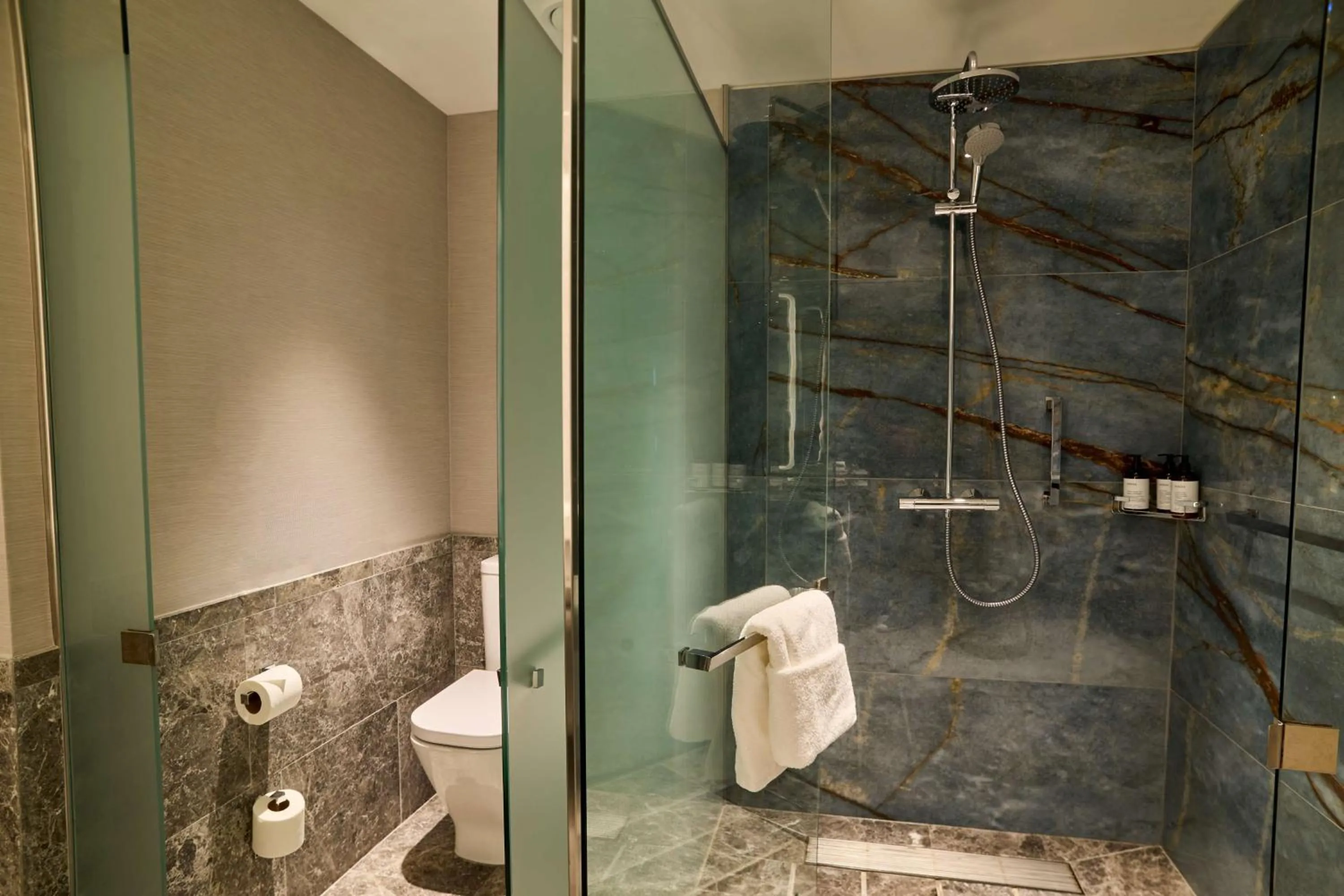 Bathroom in Hilton Buenos Aires