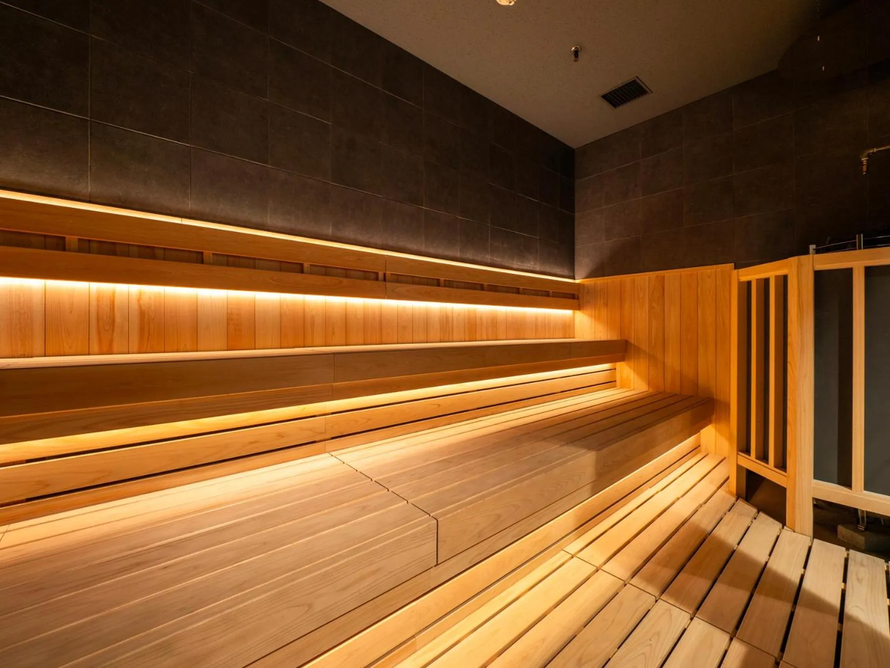 Sauna in Super Hotel Osaka Natural Hot Springs