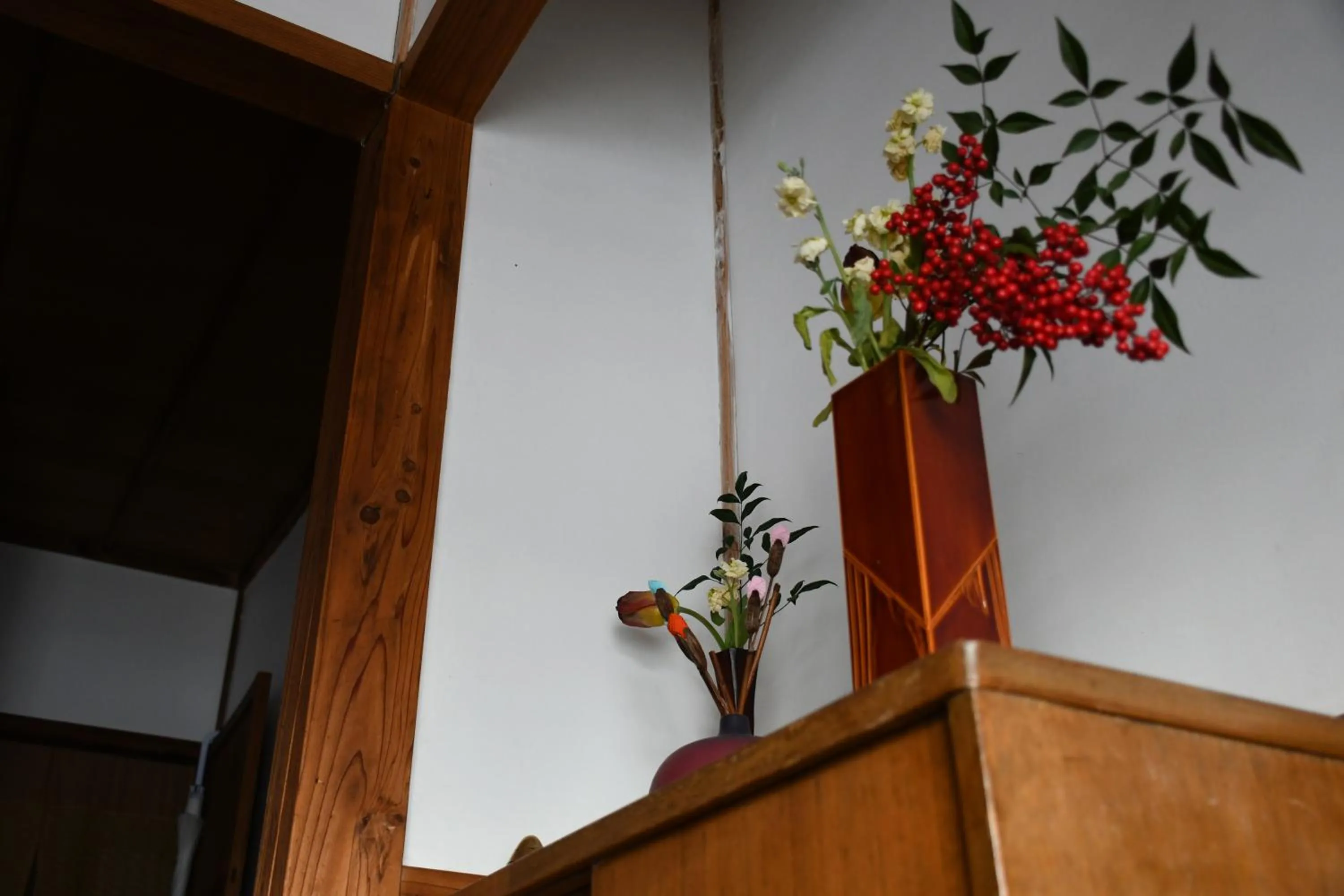 Tsubaki - the best guesthouse in Inawashiro -