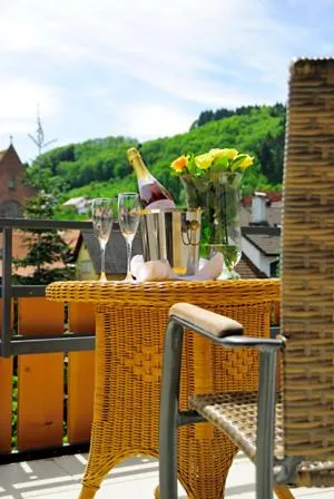 Balcony/Terrace in Hotel Prinzen