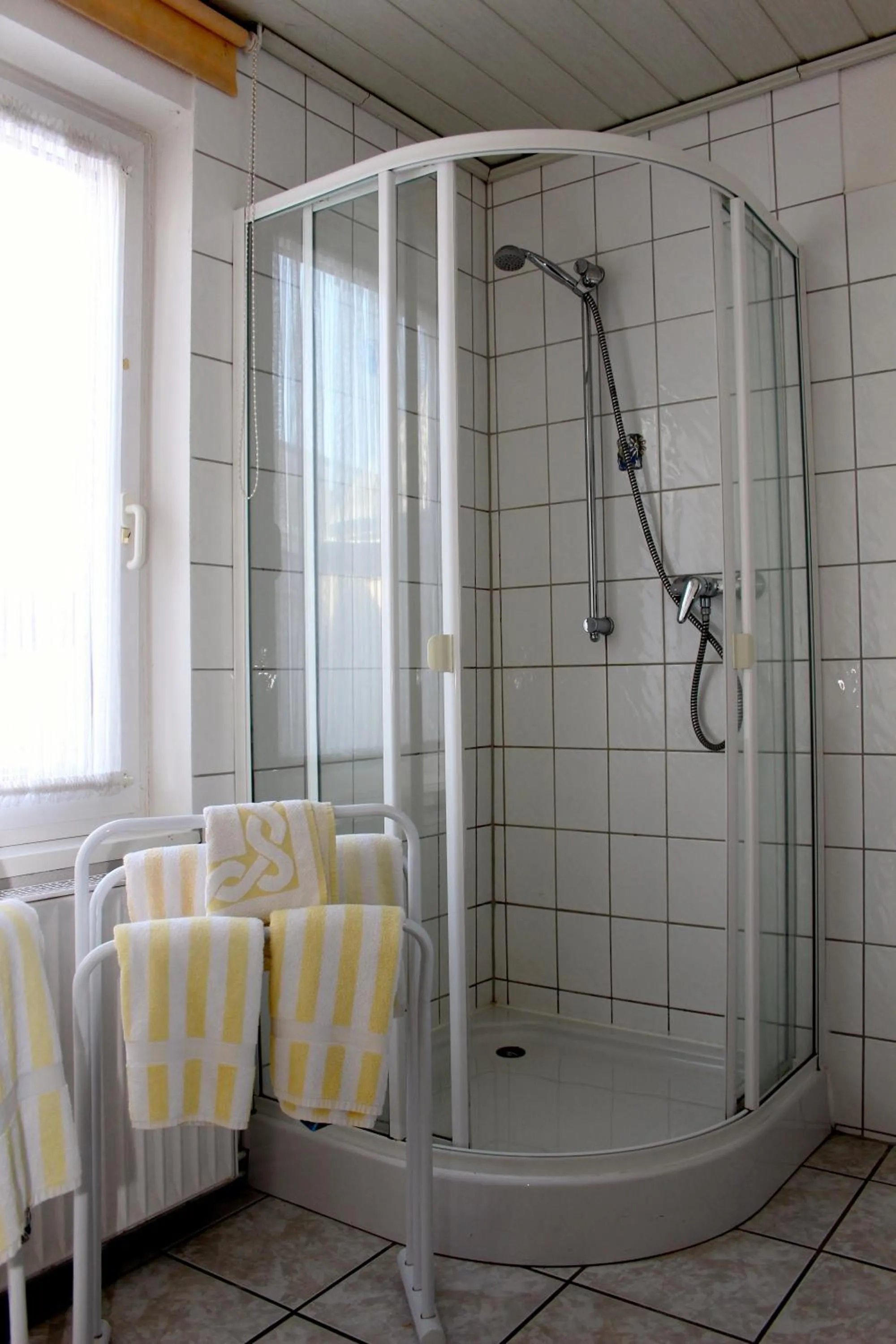 Shower in Hotel Cafe Bothe