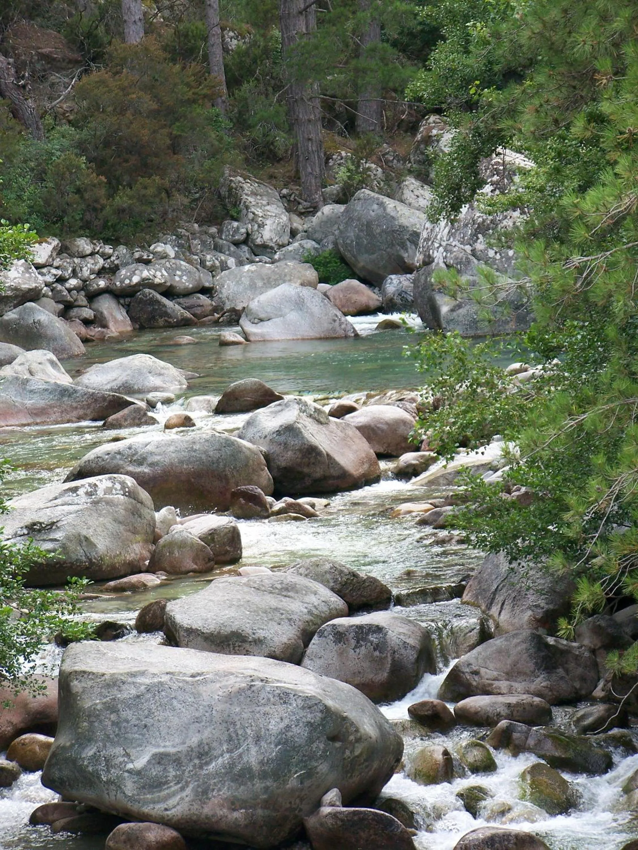 Area and facilities in Vanina Park