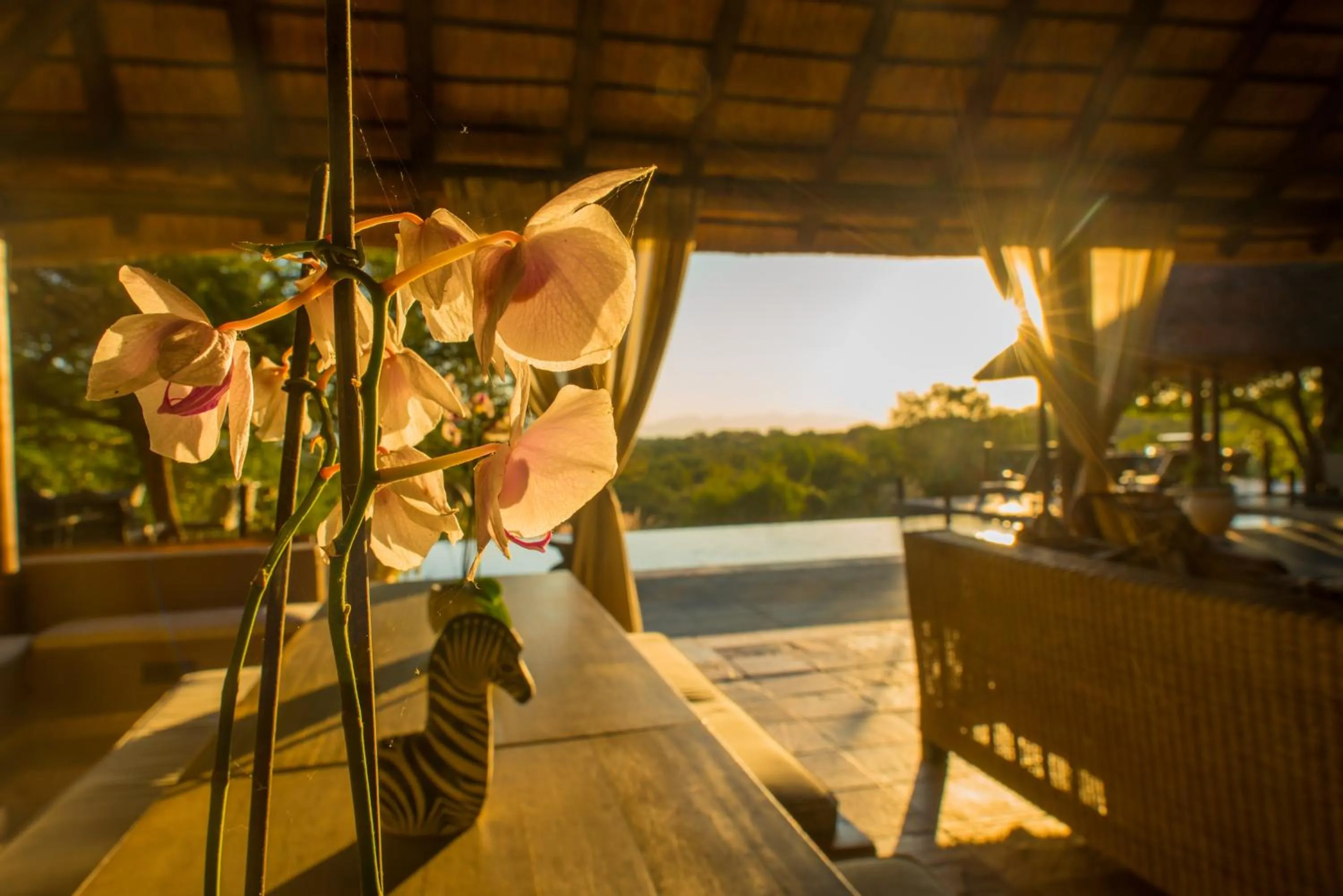 Patio in Khaya Ndlovu Safari Manor