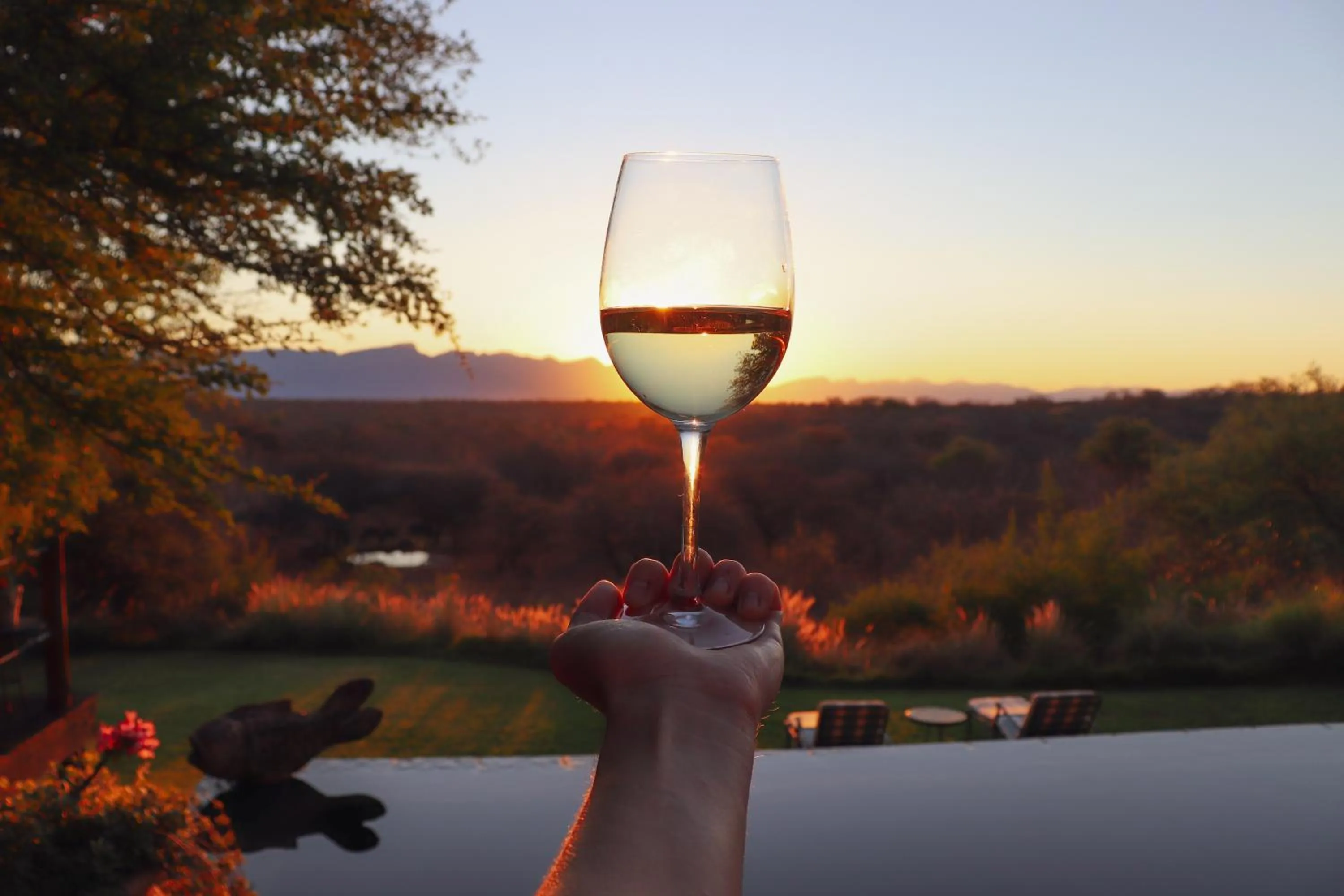 Alcoholic drinks in Khaya Ndlovu Safari Manor