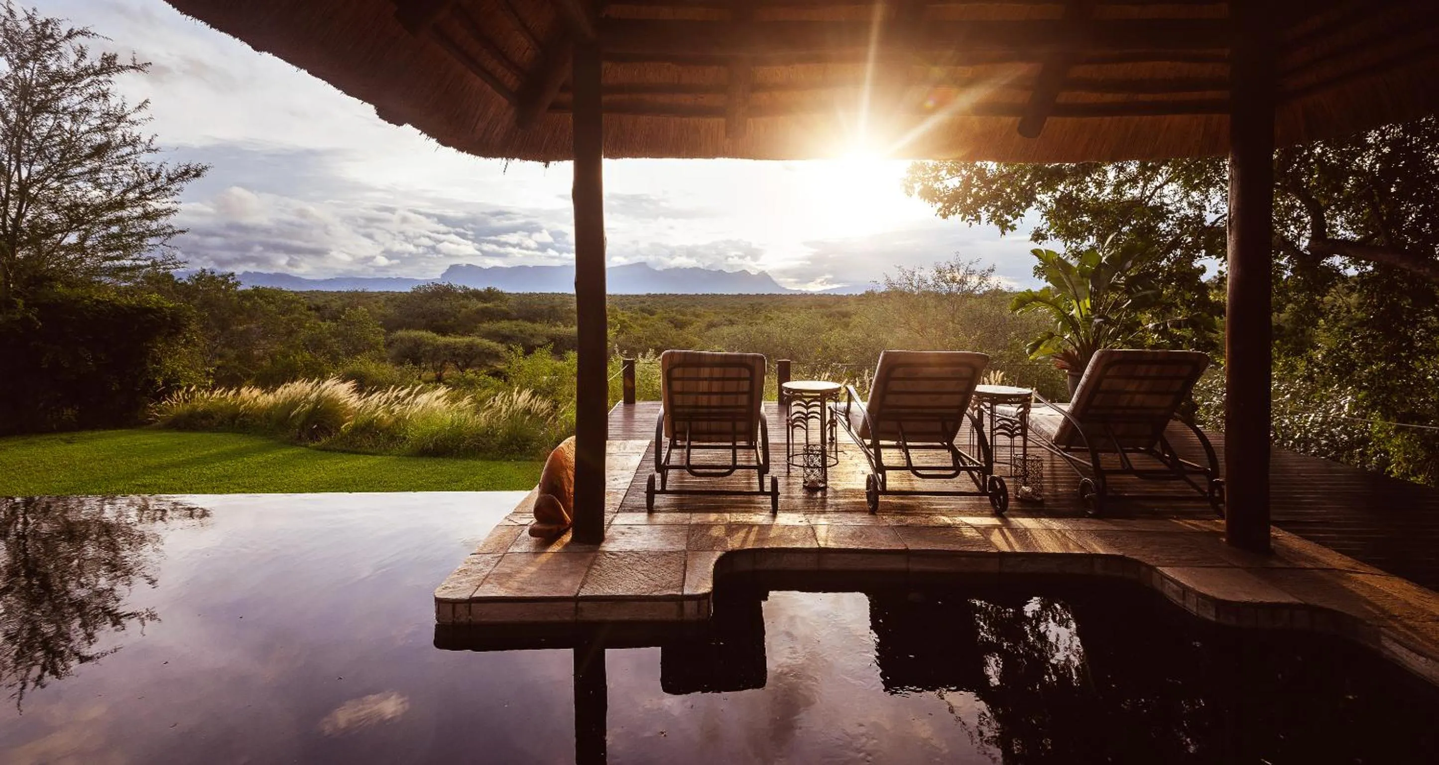 Garden in Khaya Ndlovu Safari Manor