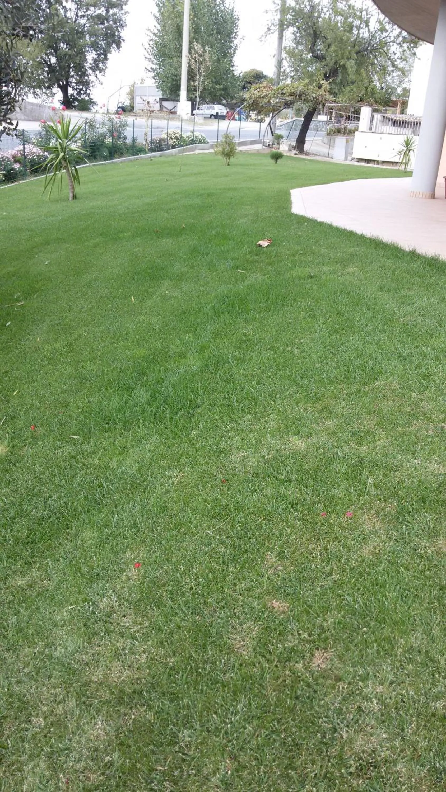 Garden view in Hotel 660