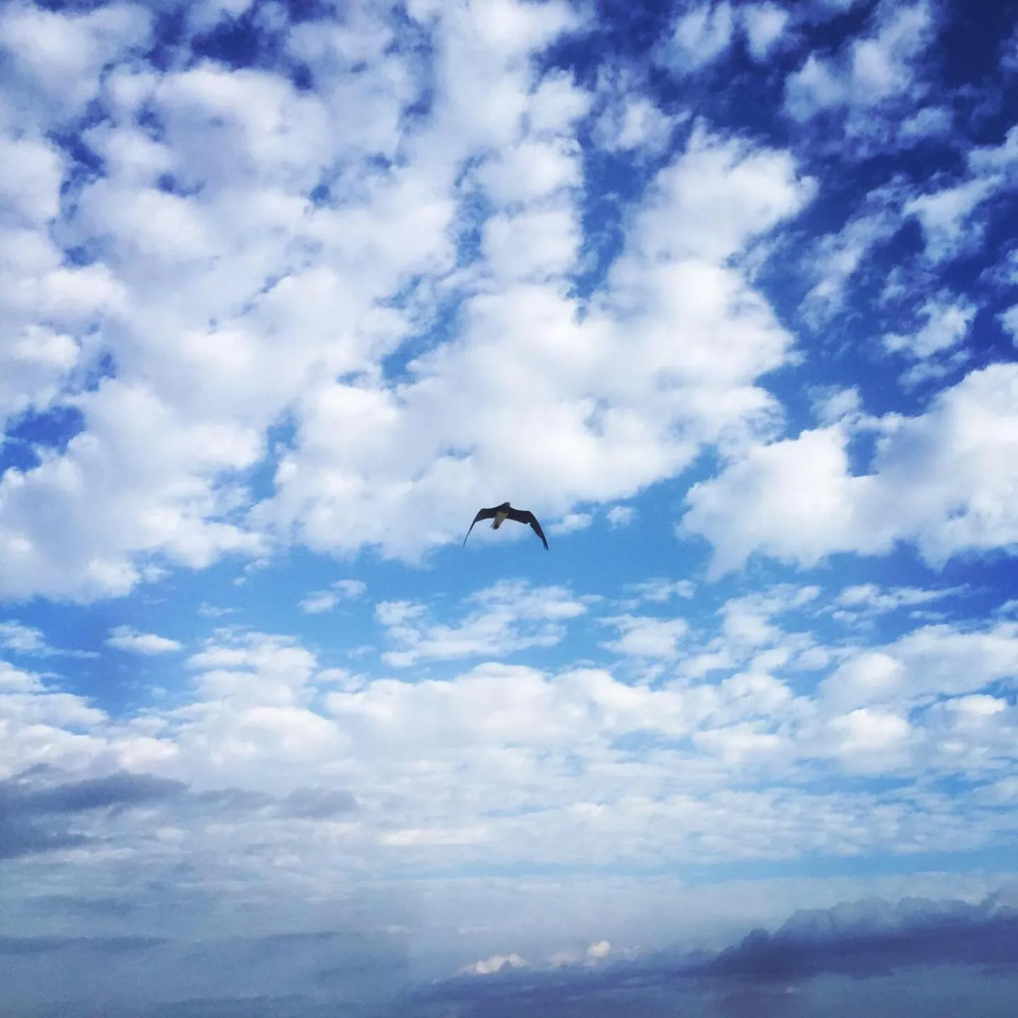 Deep south Eco-lodge