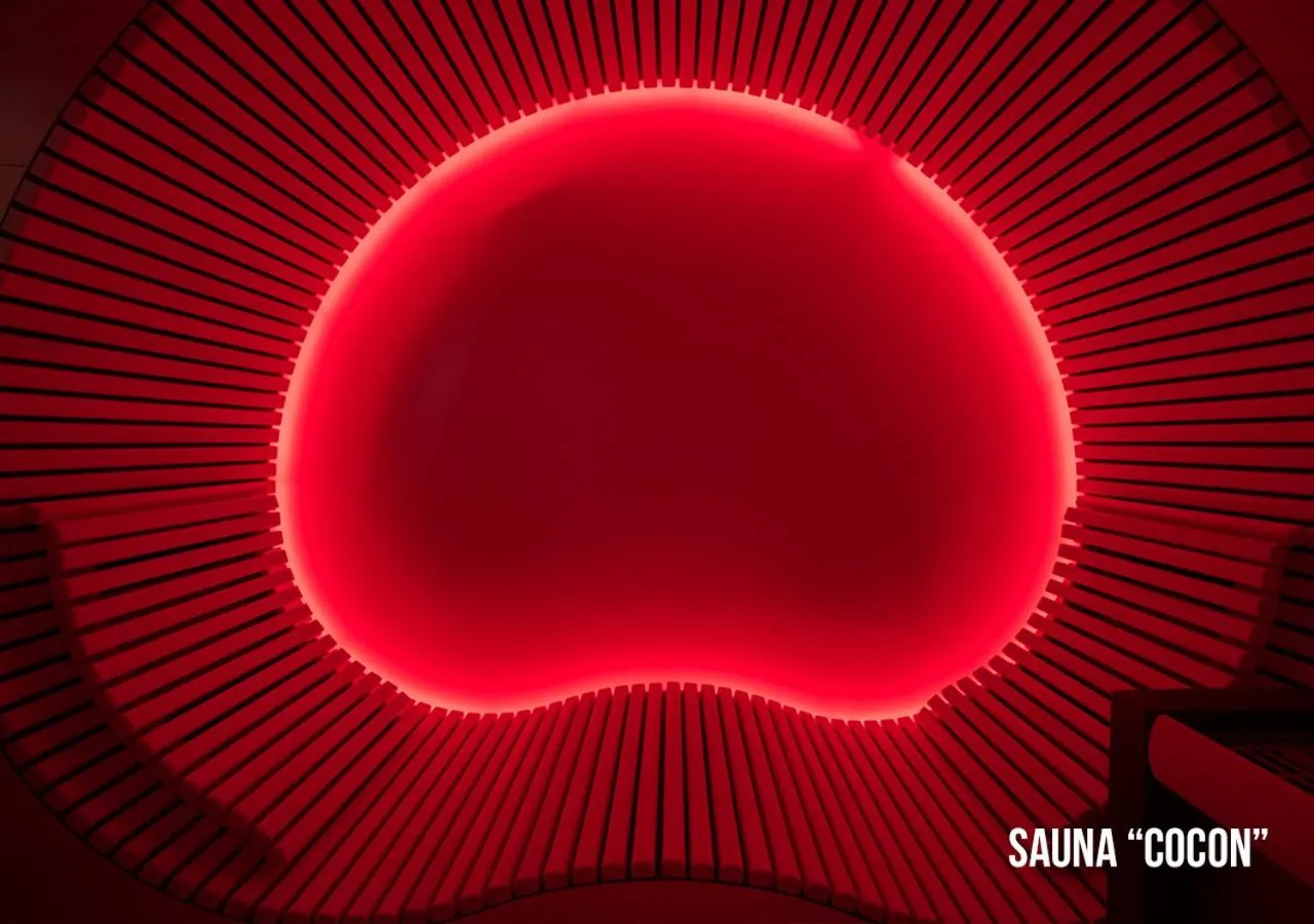 Sauna in Grand Hôtel Les Endroits