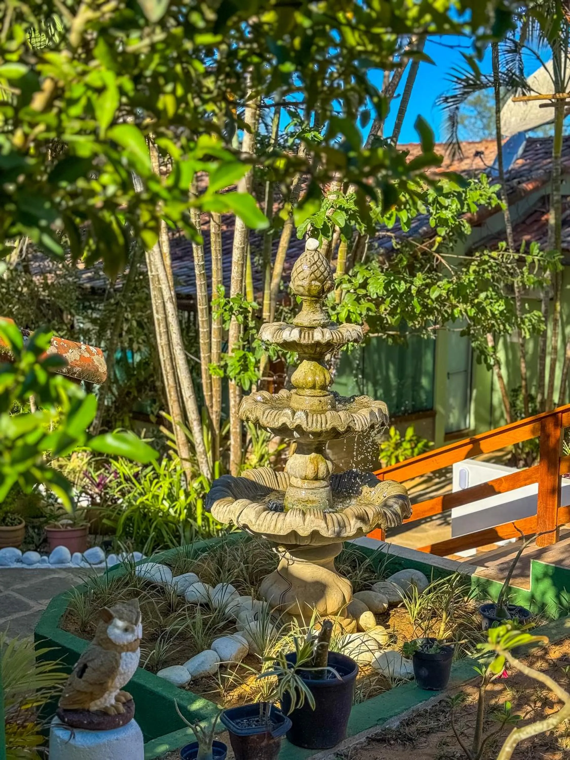 Garden in Pousada Sonho de Geribá