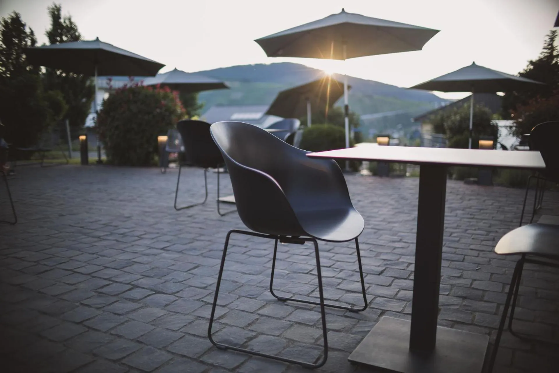 Garden in Weingut Gehlen-Cornelius