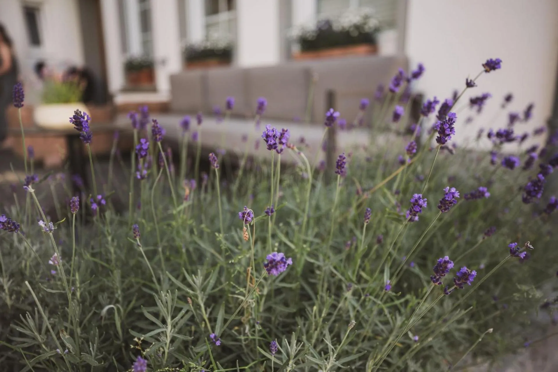 Patio in Weingut Gehlen-Cornelius