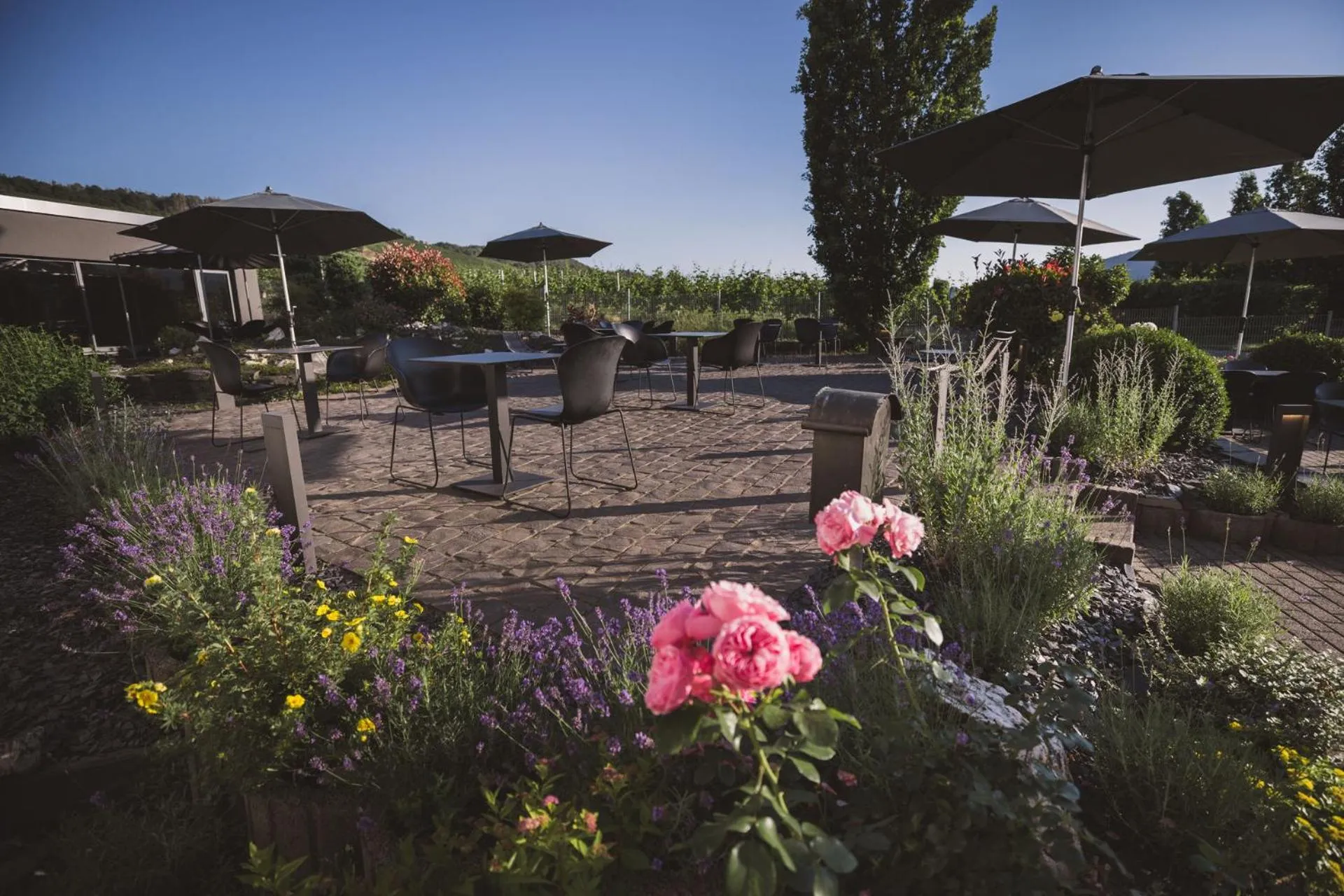 Garden in Weingut Gehlen-Cornelius