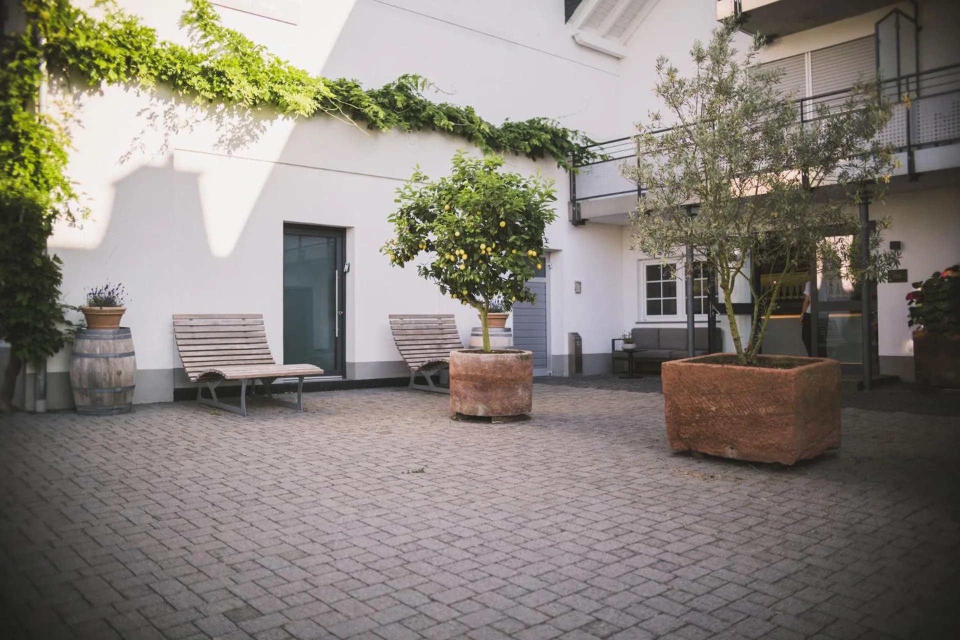 Patio in Weingut Gehlen-Cornelius