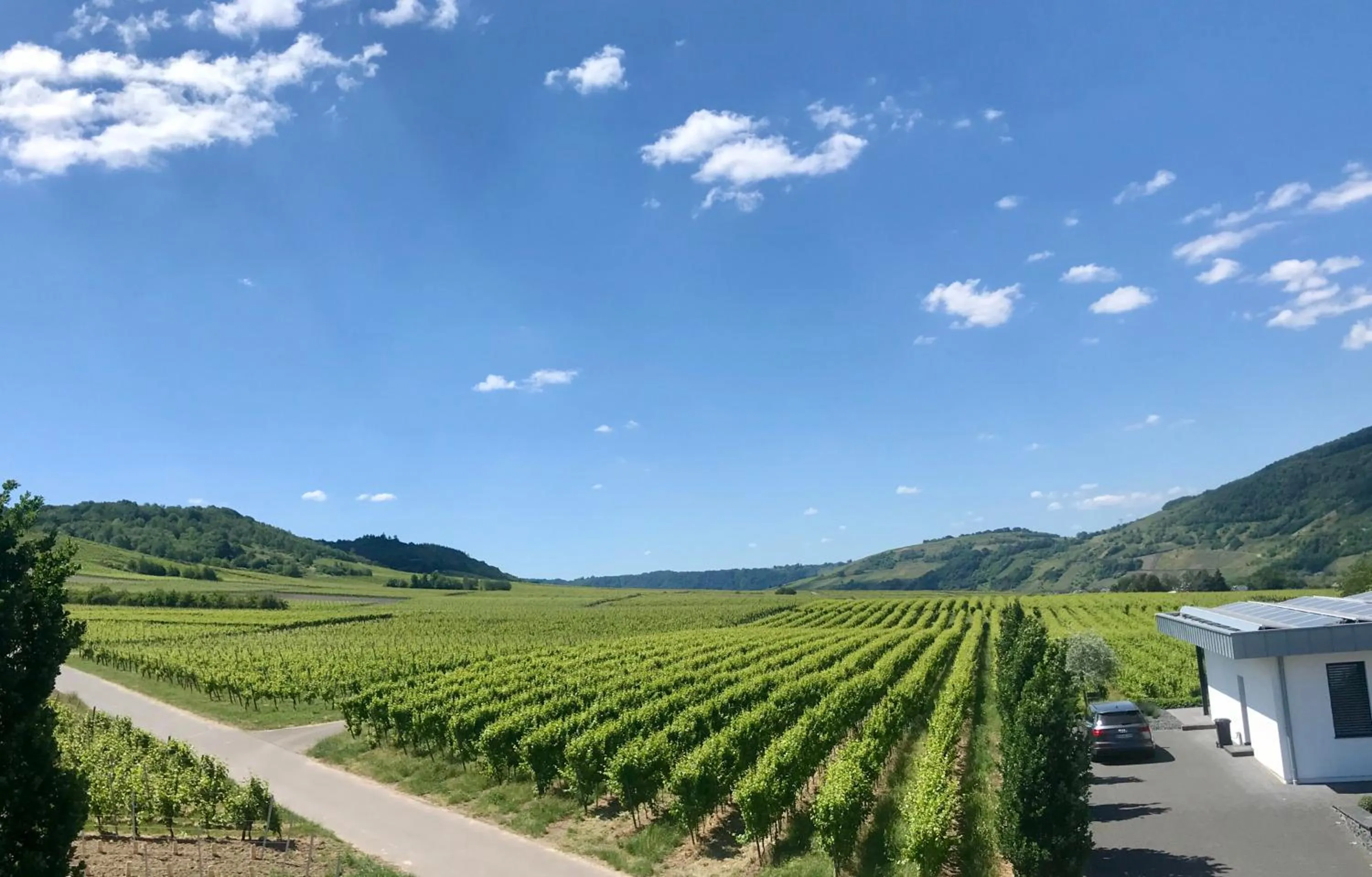 View (from property/room) in Weingut Gehlen-Cornelius