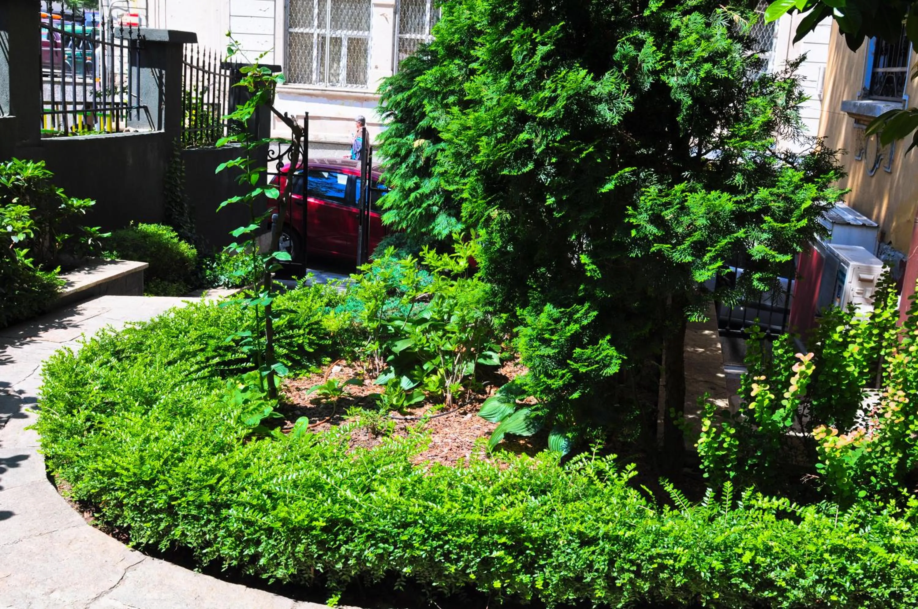 Garden in L'Opera Guest House