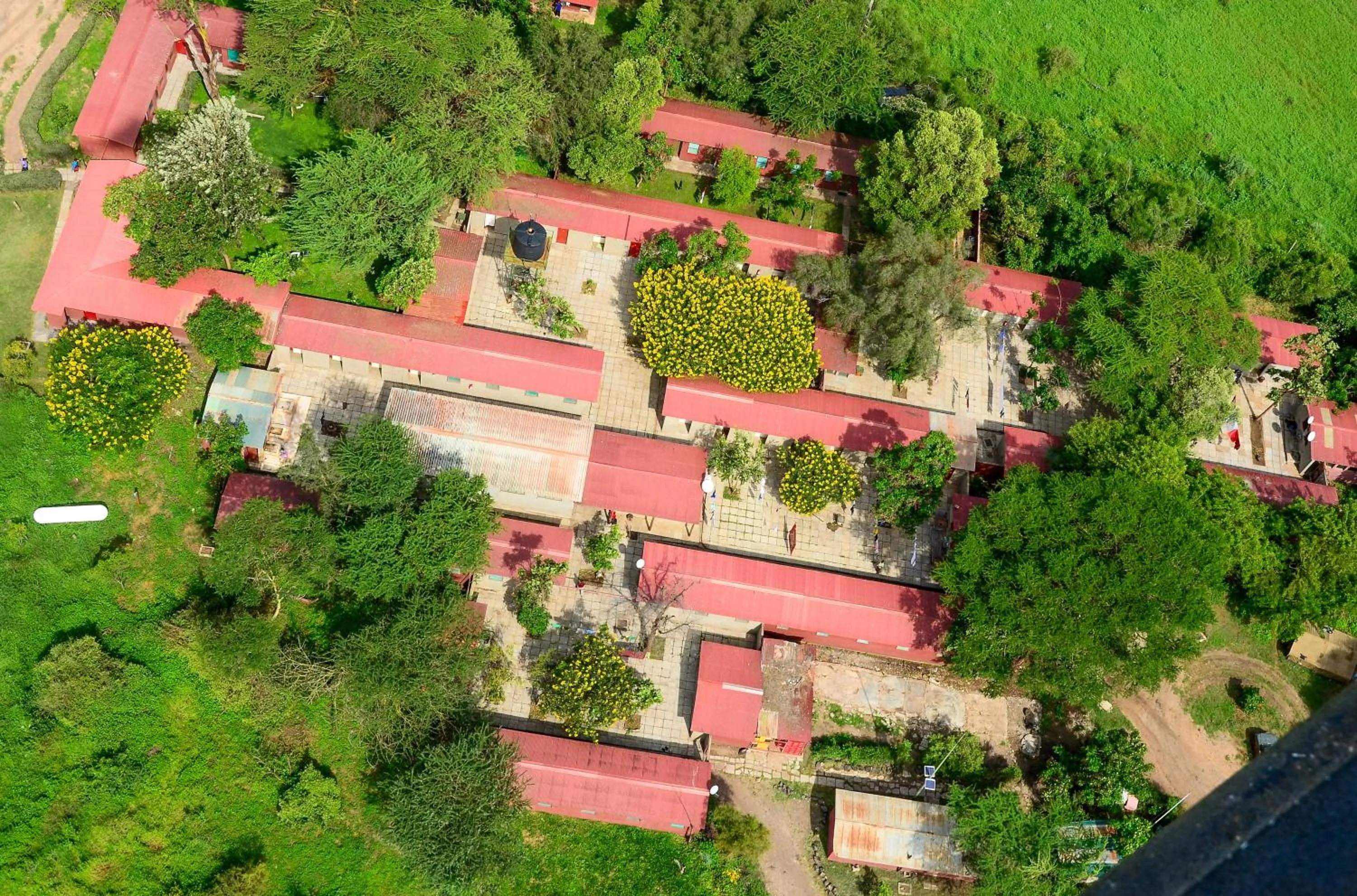 Bird's eye view in Amboseli Serena Safari Lodge