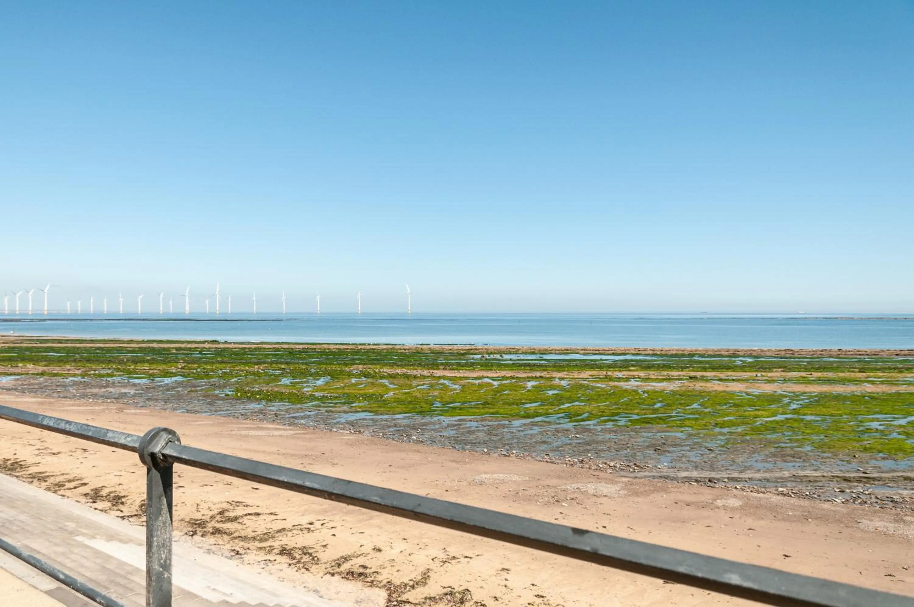 Nearby landmark in Claxton Hotel