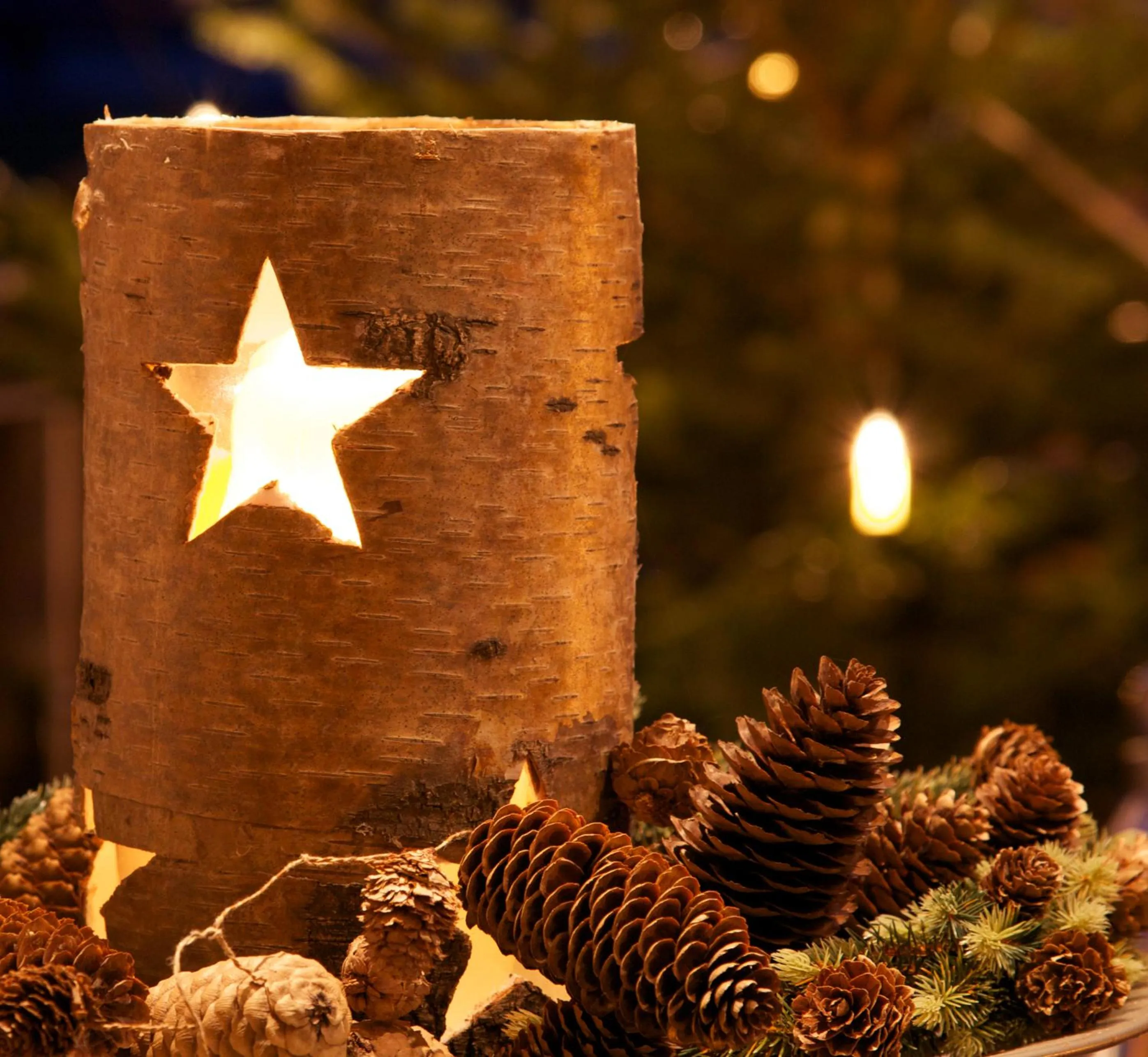 Winter in Alpinschlössl