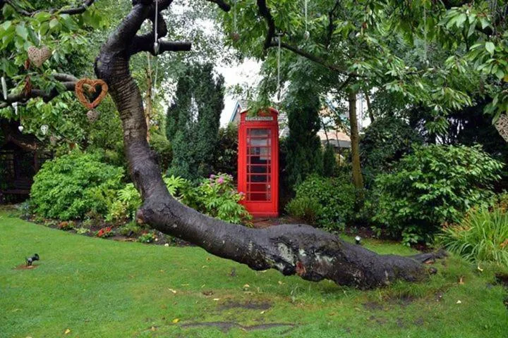 Garden in Dimple Well Lodge Hotel
