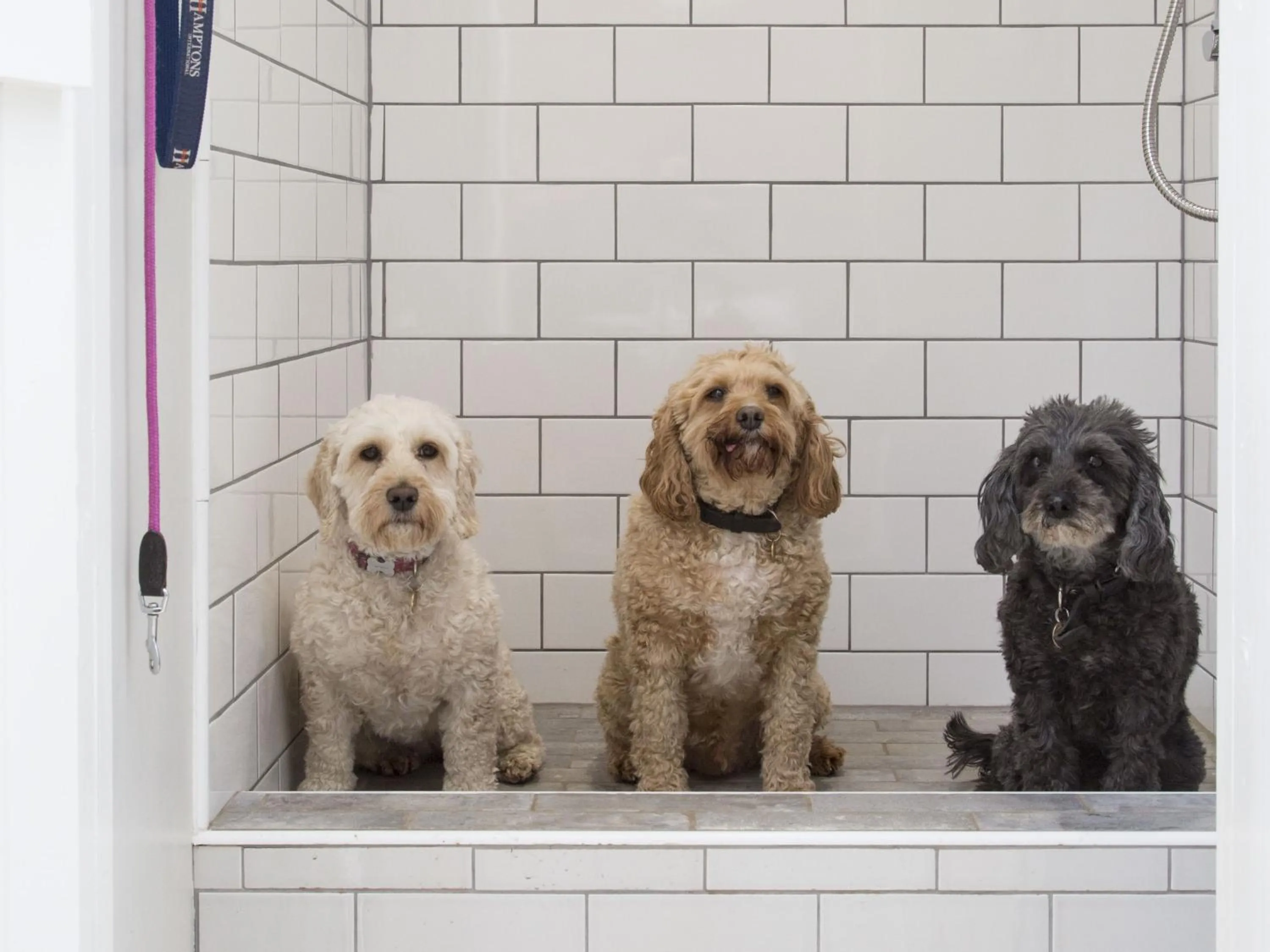 Other in Forthay Bed and Breakfast