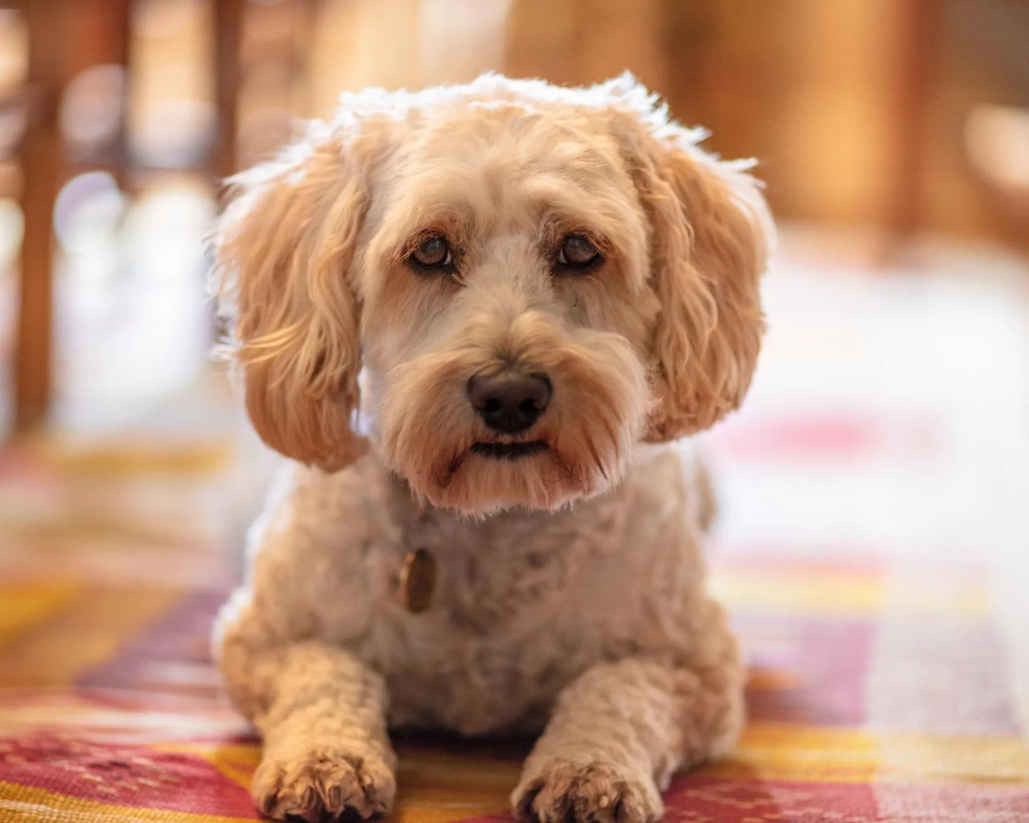 Other in Forthay Bed and Breakfast