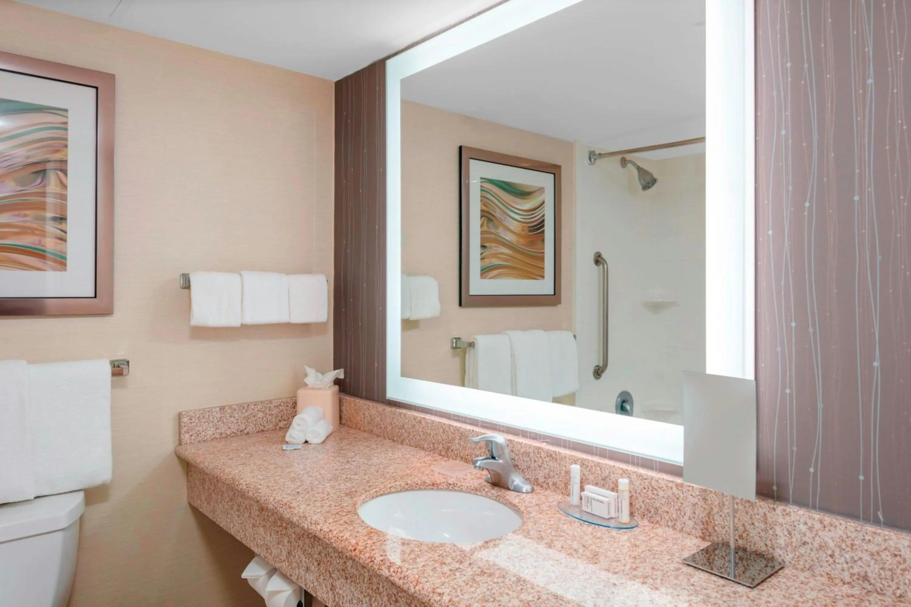 Bathroom in Courtyard by Marriott Killeen