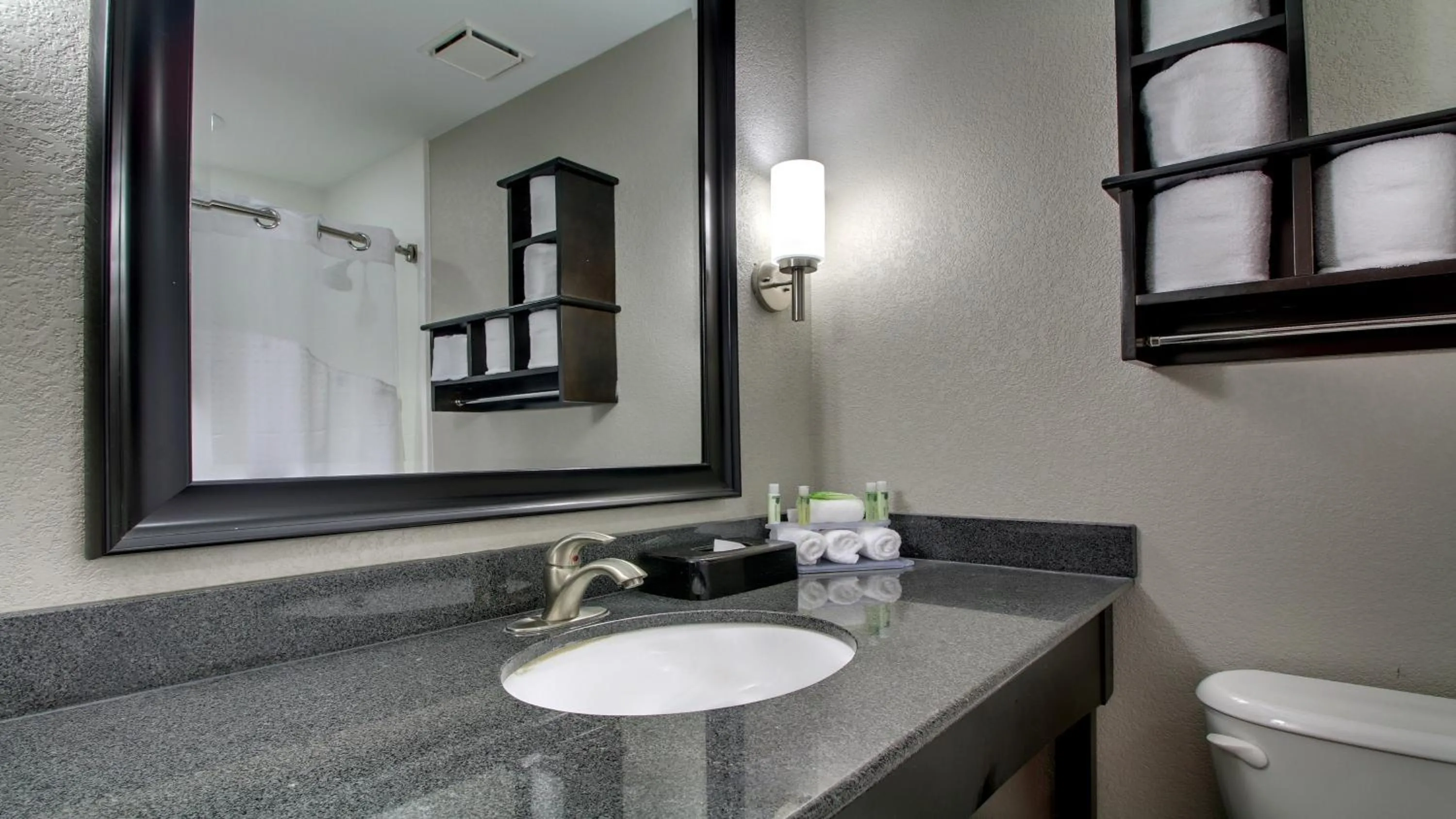Bathroom in Holiday Inn Express & Suites Jackson Downtown - Coliseum by IHG