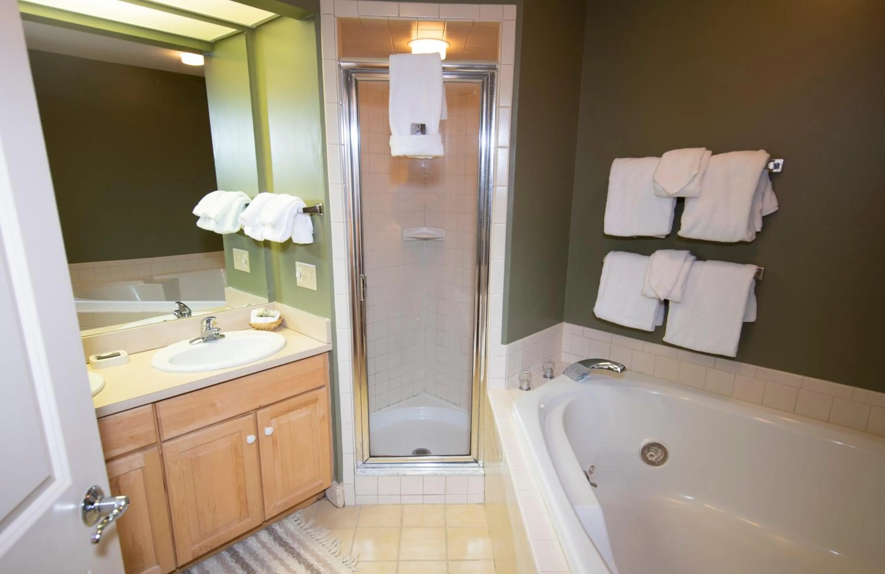 Solitude Village at Okemo