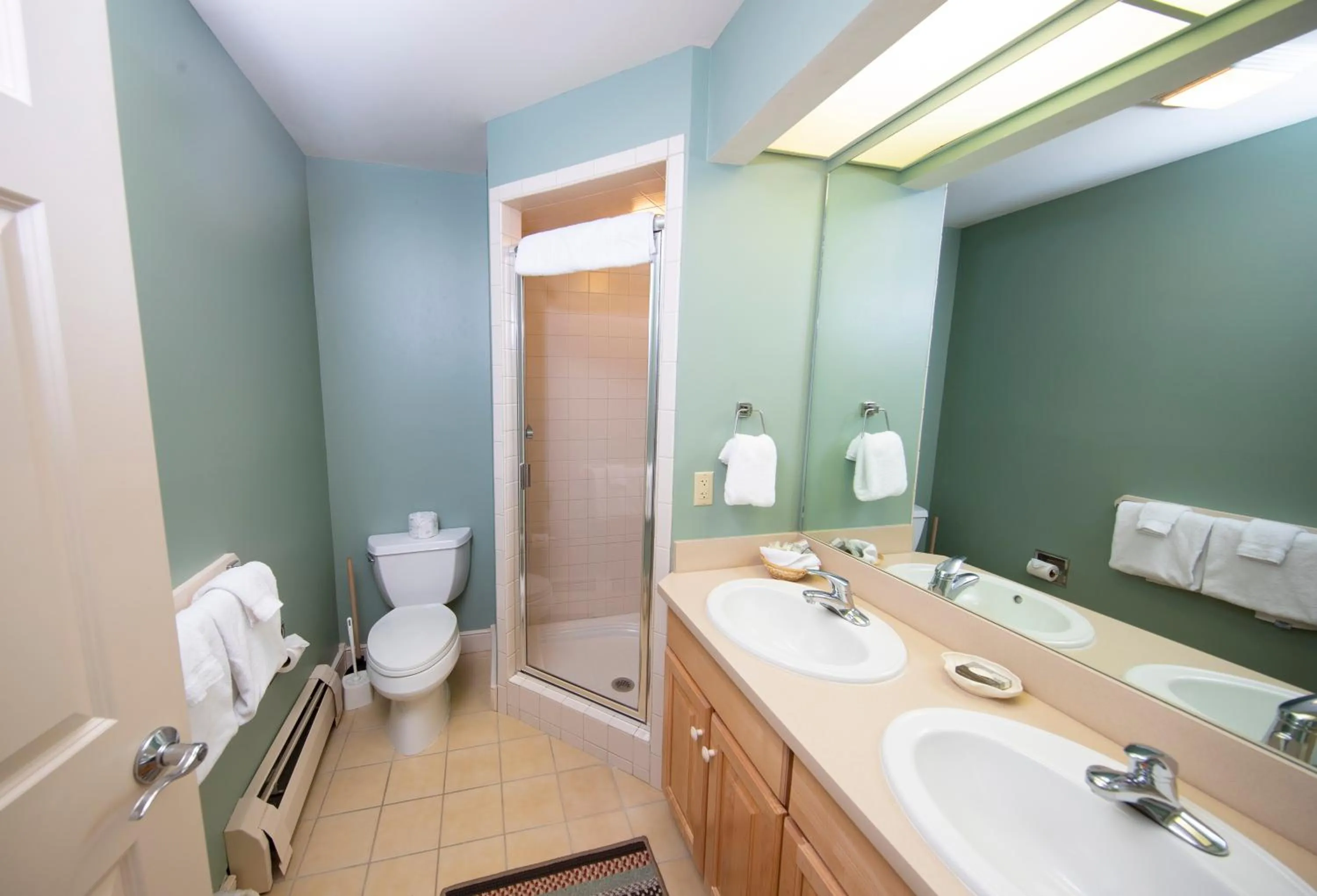 Solitude Village at Okemo