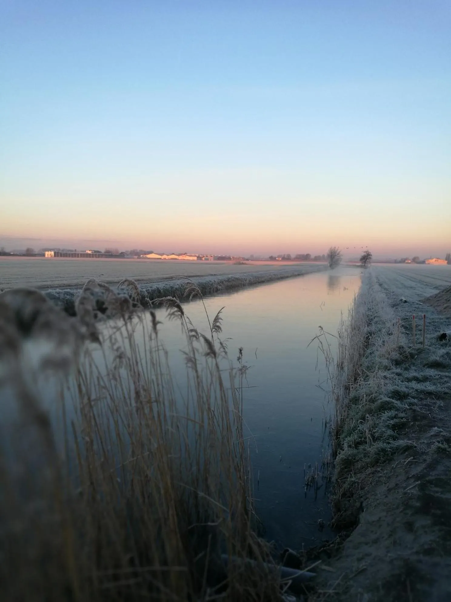 Natural landscape in De Groene Bollenschuur