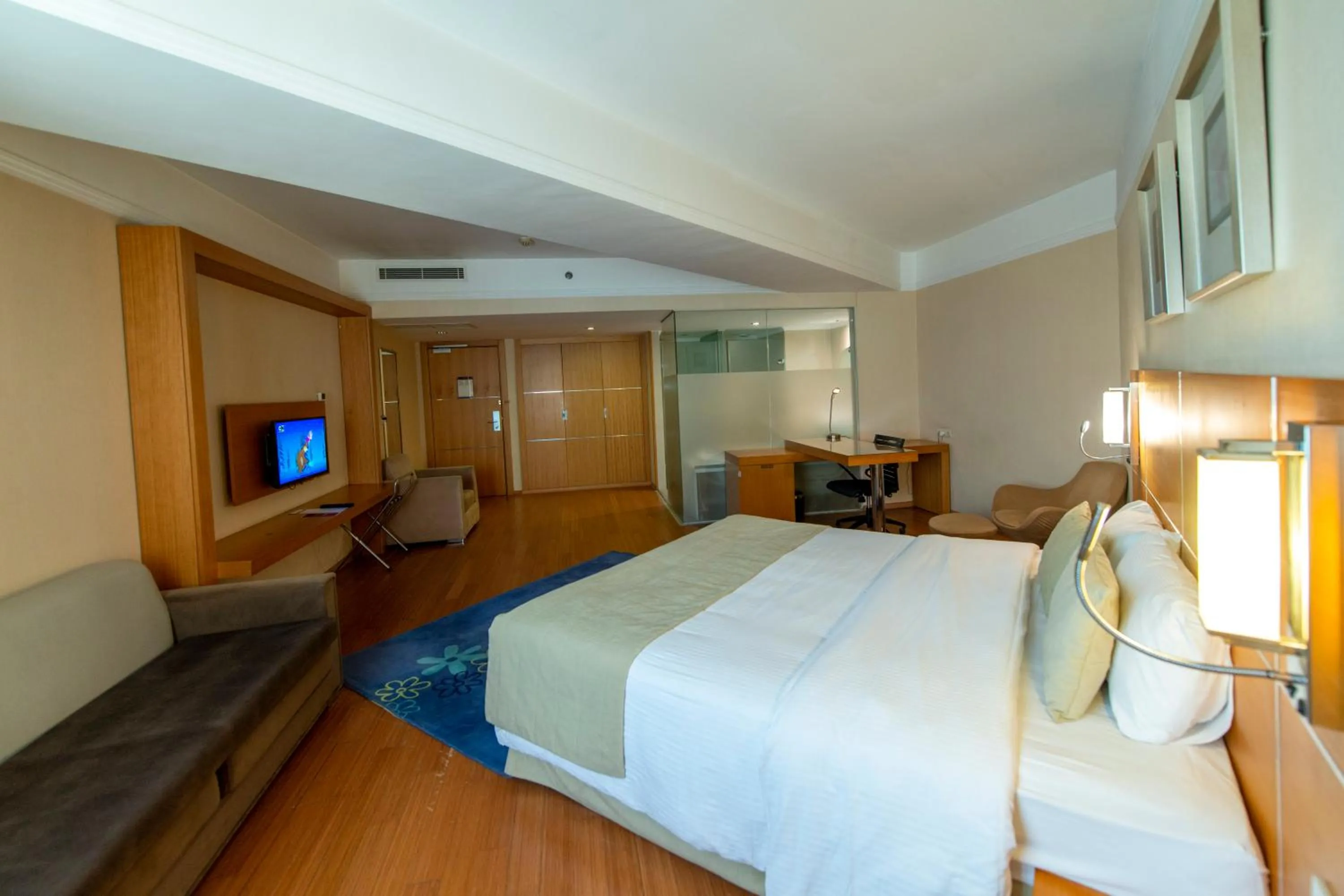 Photo of the whole room in Jura Hotels Afyon Thermal