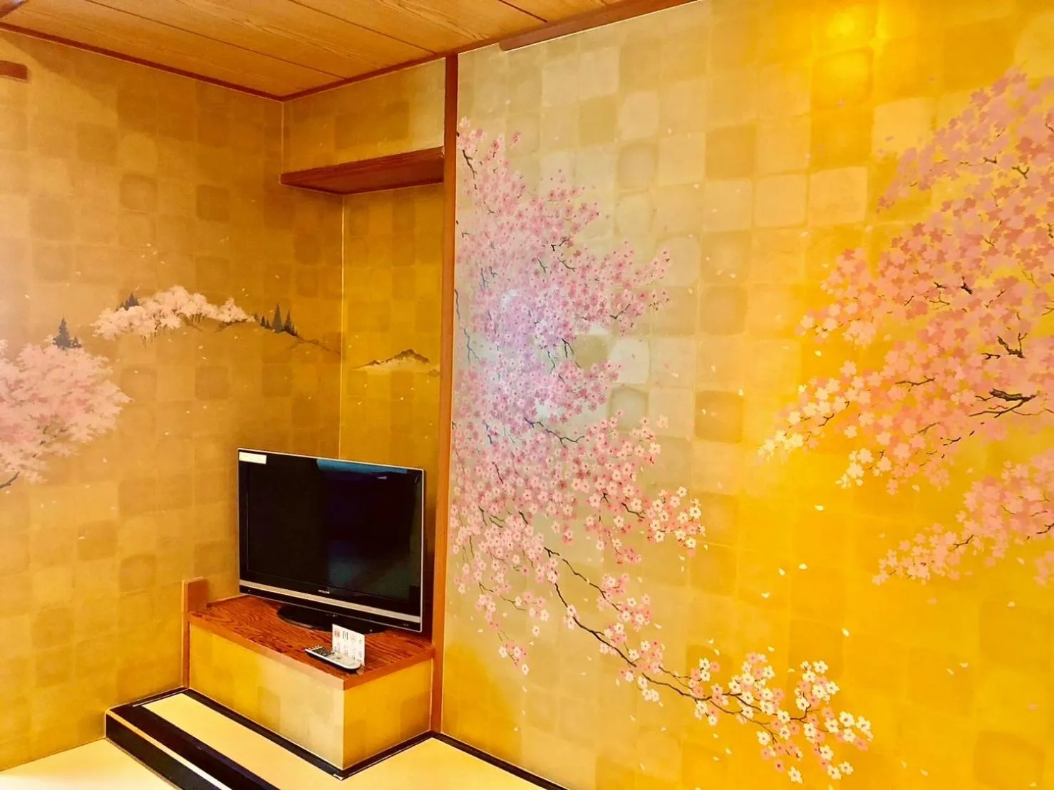 TV and multimedia in Hotel Hoho "A hotel overlooking the Echigo Plain and the Yahiko mountain range" formerly Hotel Oohashi Yakata-no-Yu