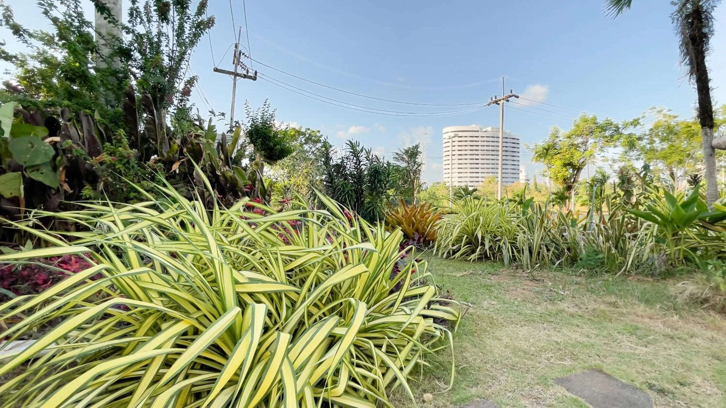 Garden in Rua Rasada Express