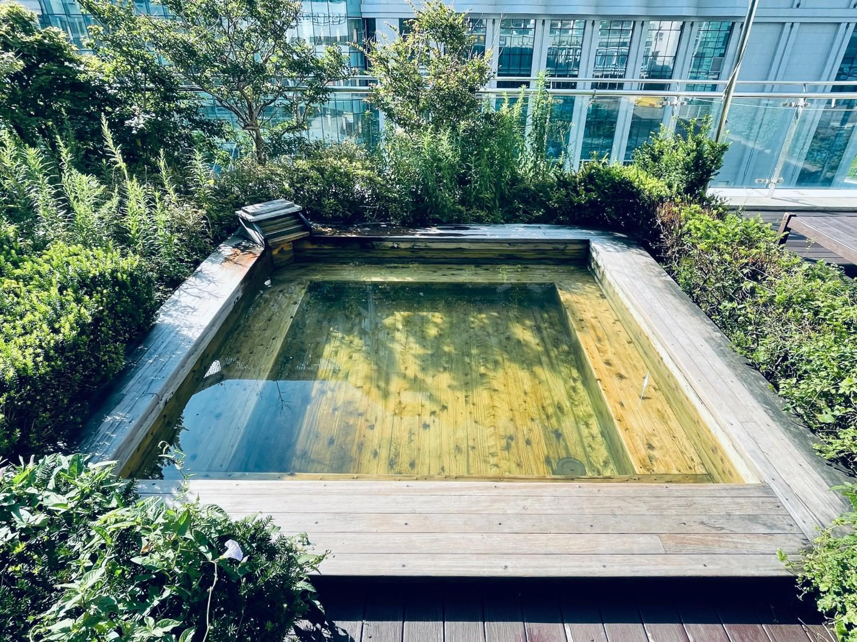 Swimming pool in Sun Cloud Hotel