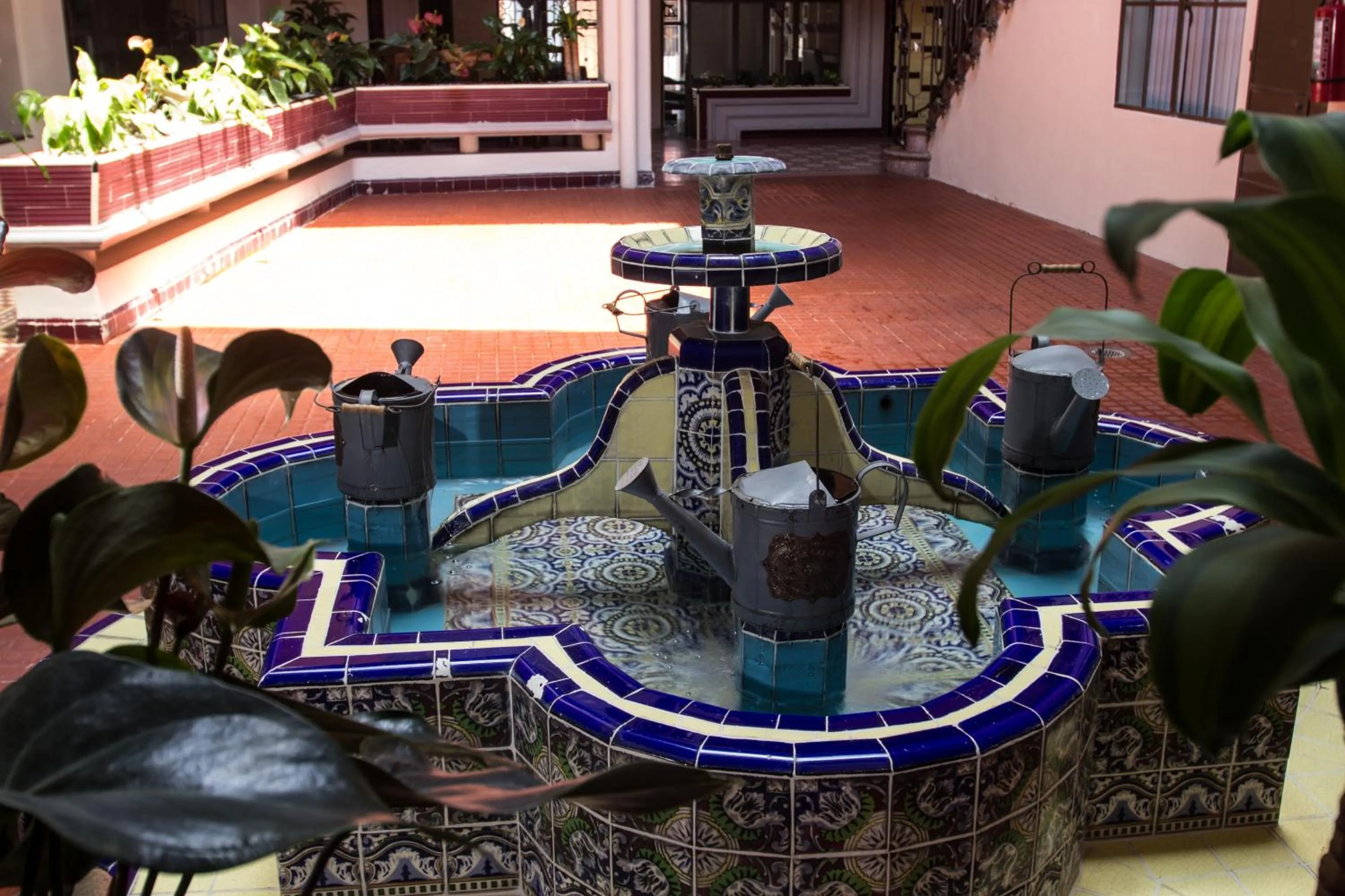 Garden in Casa de Juan Hostal