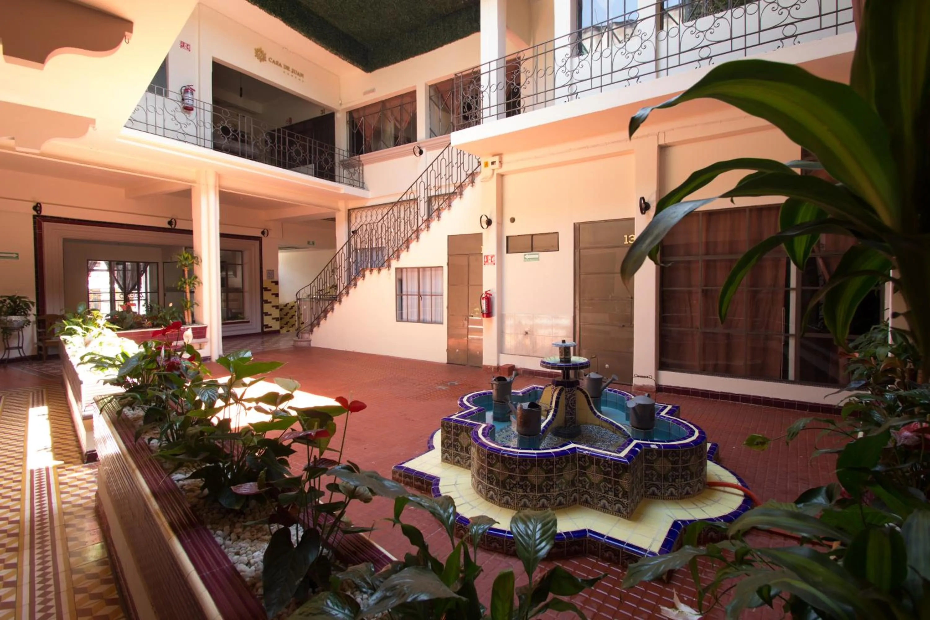 Garden in Casa de Juan Hostal