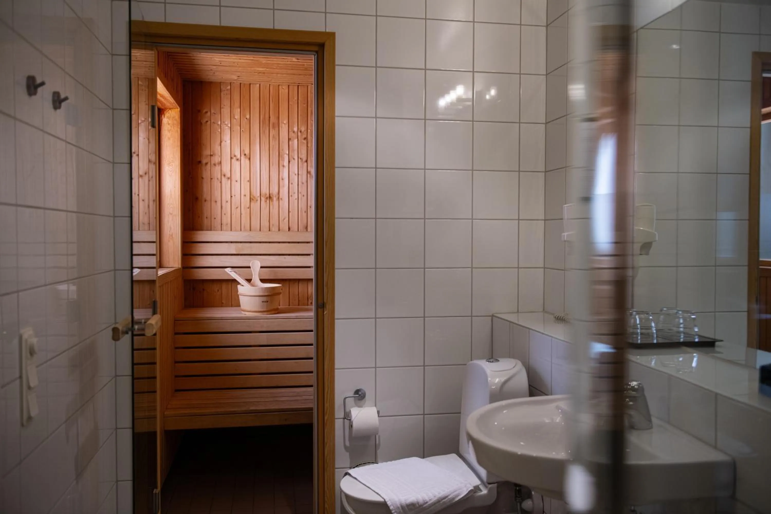 Sauna in Home Hotel Mektagonen
