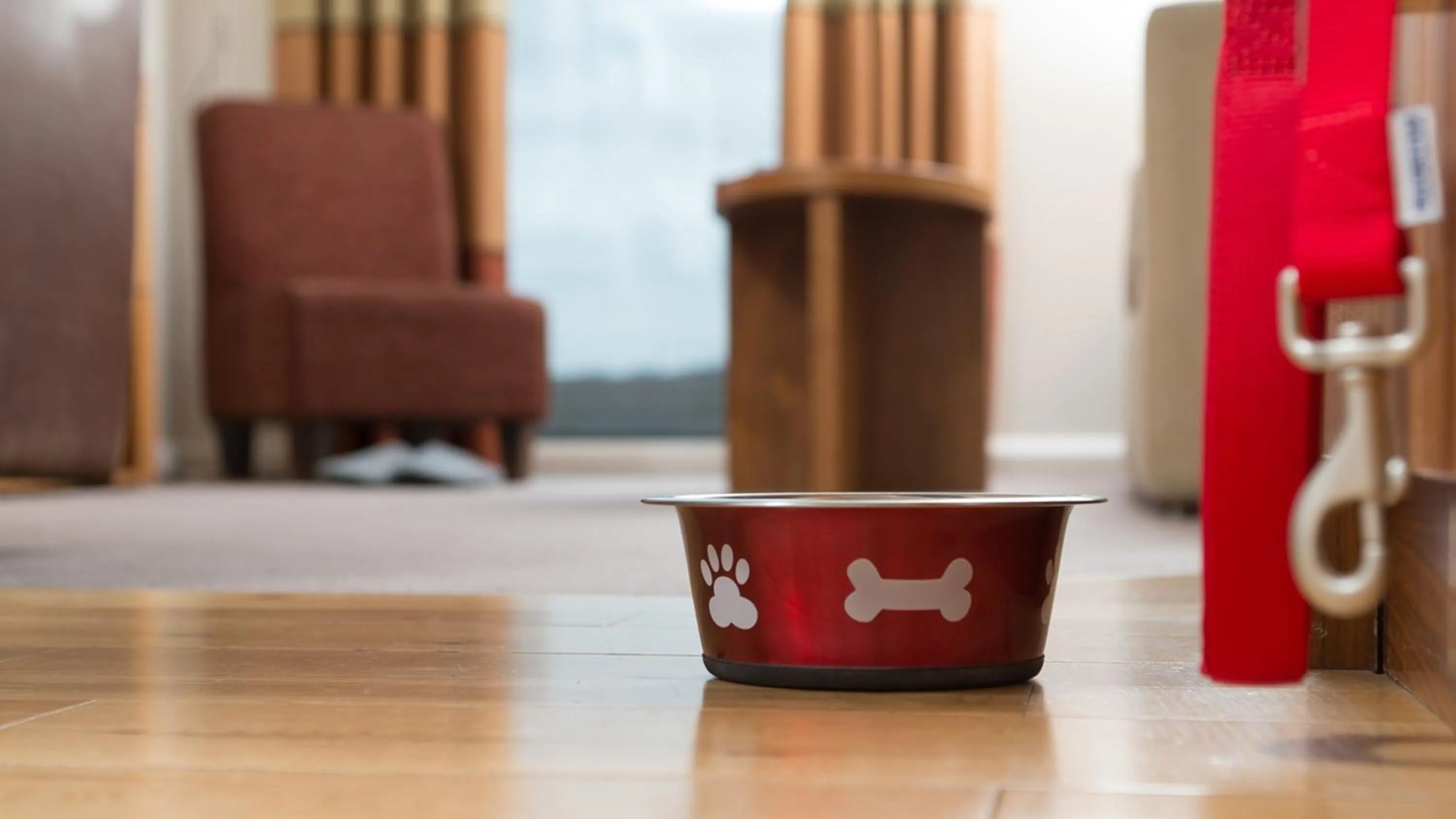 Lobby or reception in Staybridge Suites Newcastle by IHG