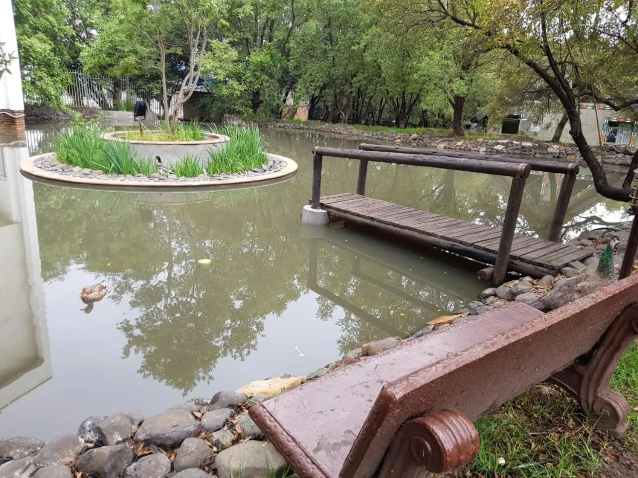 Garden in Umuzi Lodge