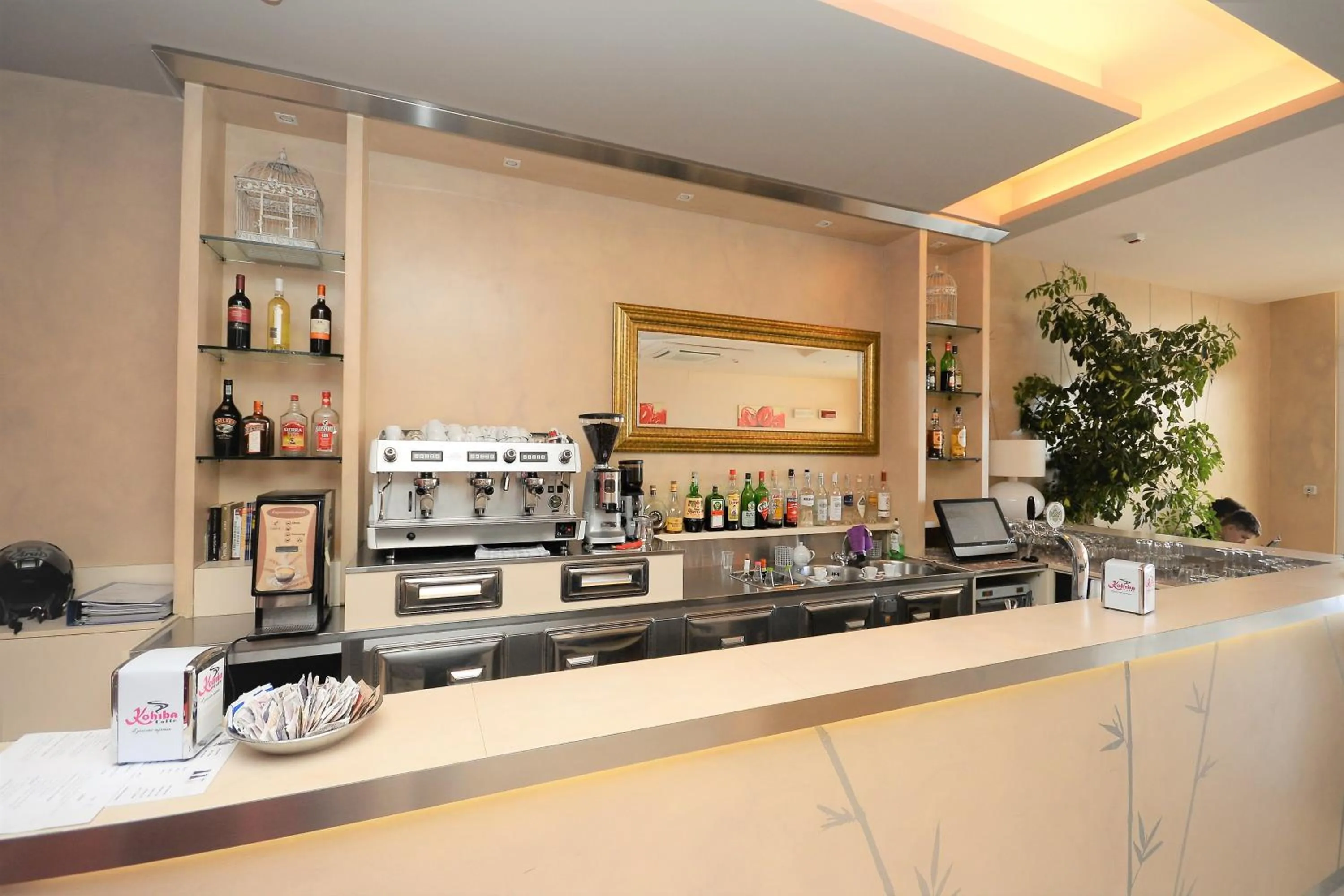 Hotel Cosmopol Cesenatico