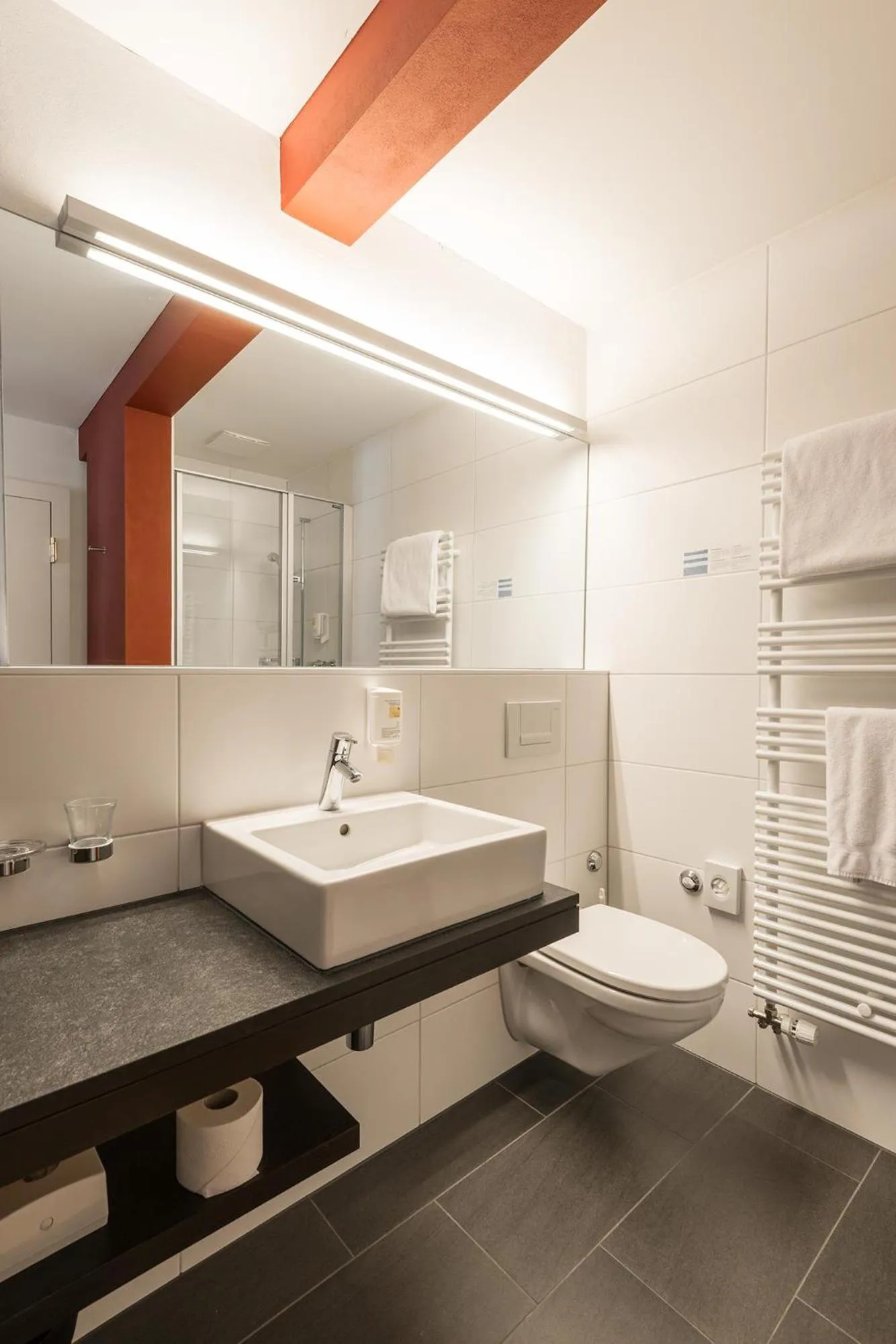 Bathroom in Hotel Alpina Luzern