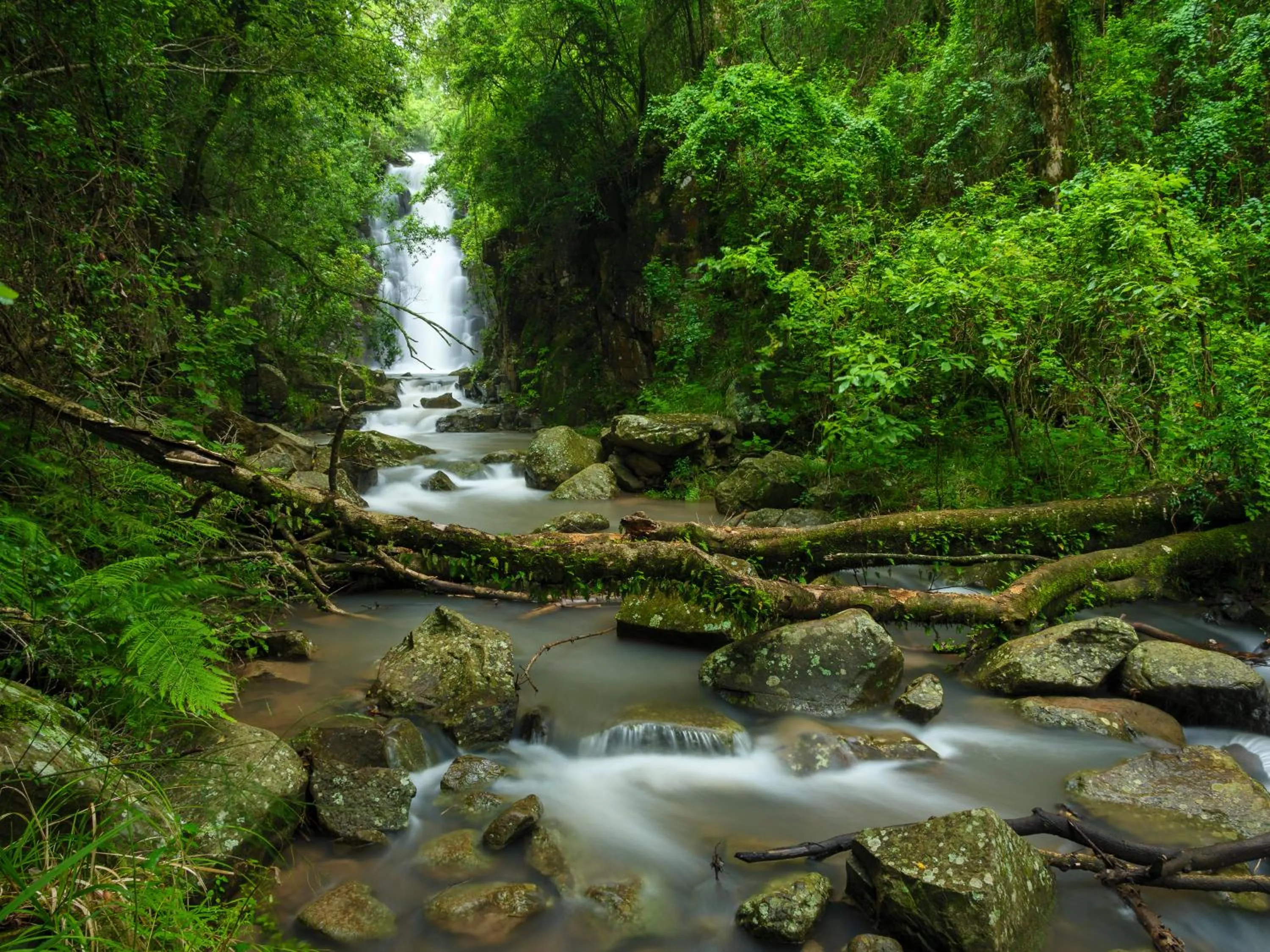 Hiking in Cavern Resort & Spa