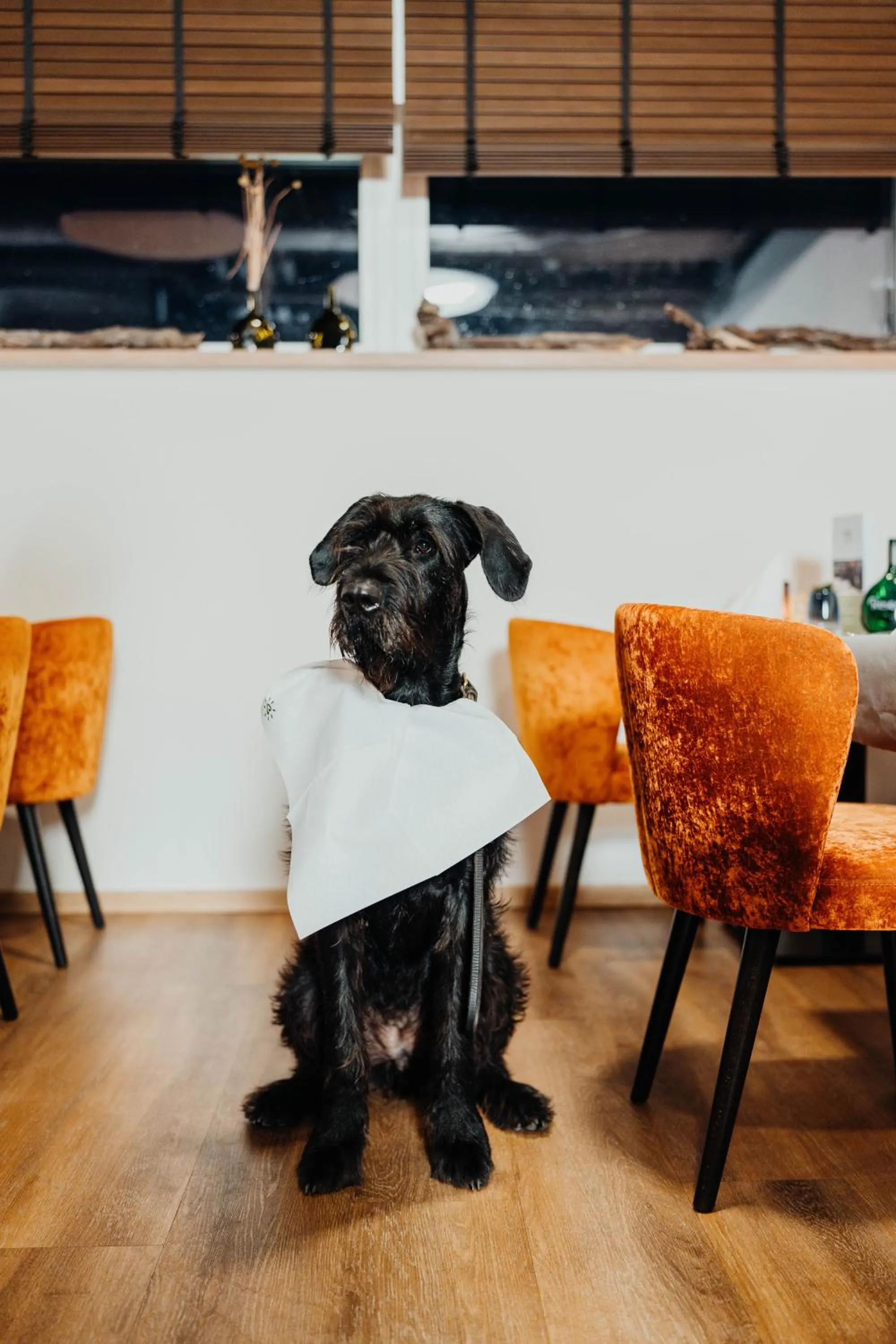 Restaurant/places to eat in Sonnenhotel Weingut Römmert Spa und Wellness