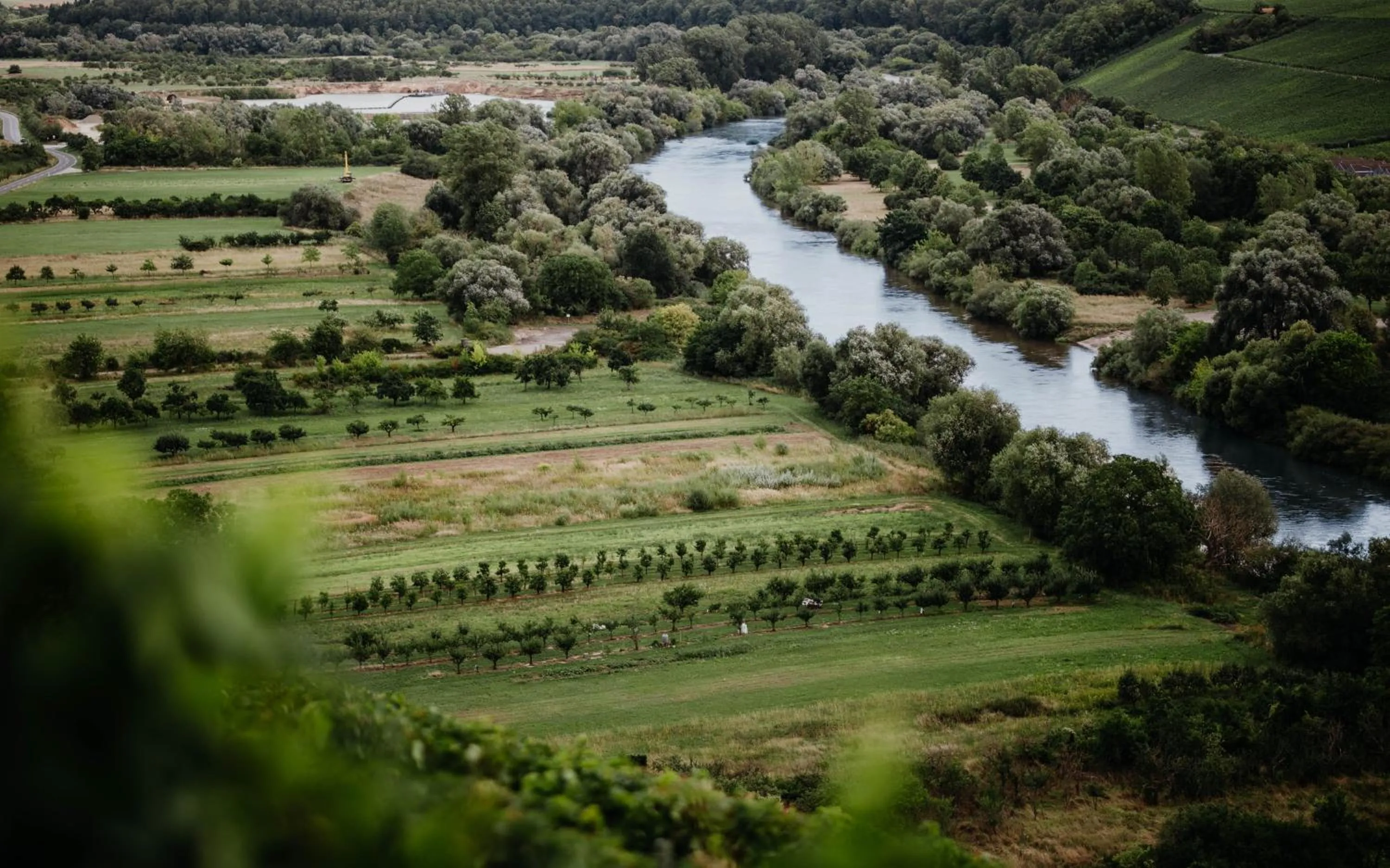 Off site in Sonnenhotel Weingut Römmert Spa und Wellness