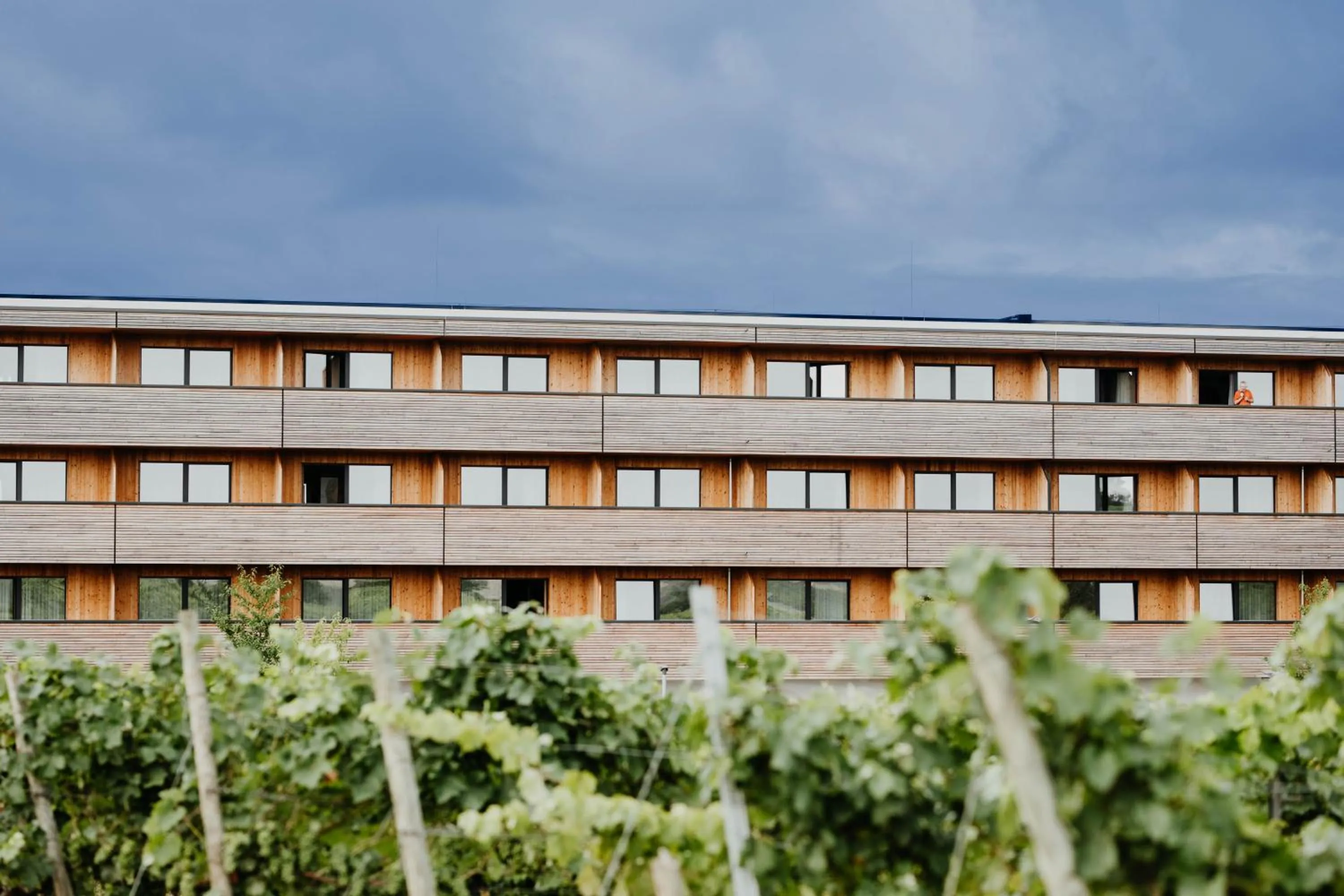 Property building in Sonnenhotel Weingut Römmert Spa und Wellness