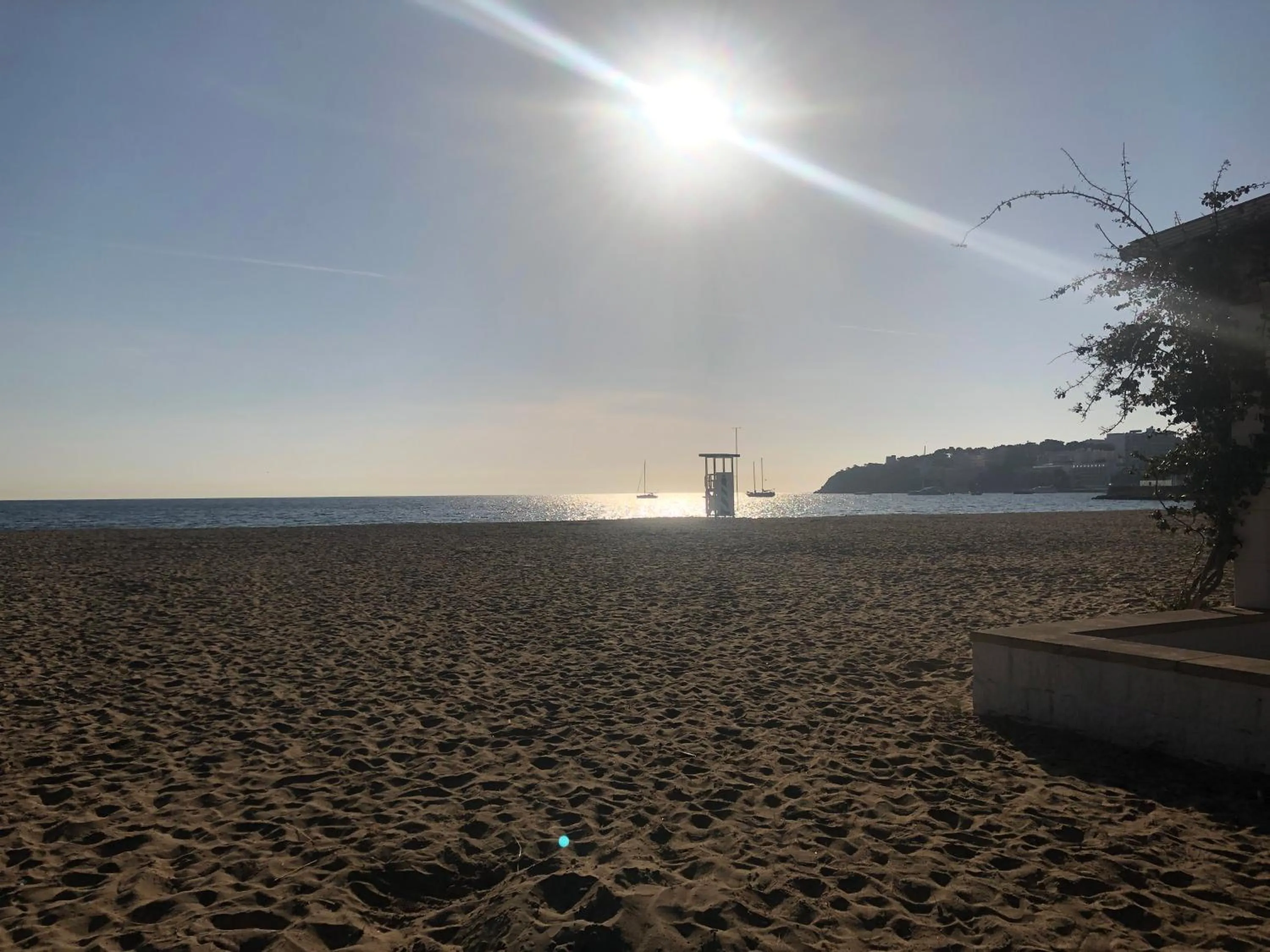 Restaurant/places to eat in INNER Kompas Palmanova "Adults Only"