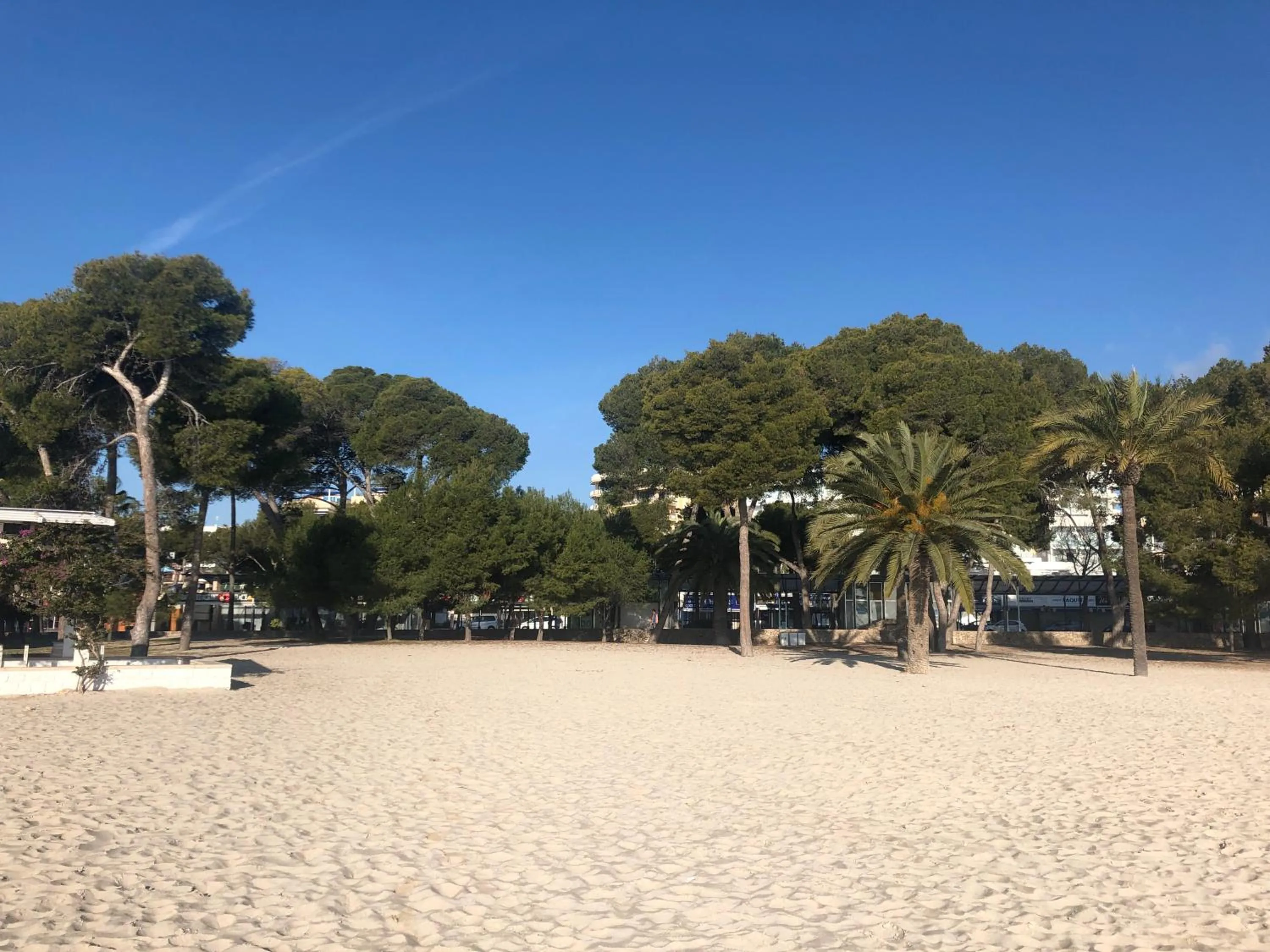 Restaurant/places to eat in INNER Kompas Palmanova "Adults Only"