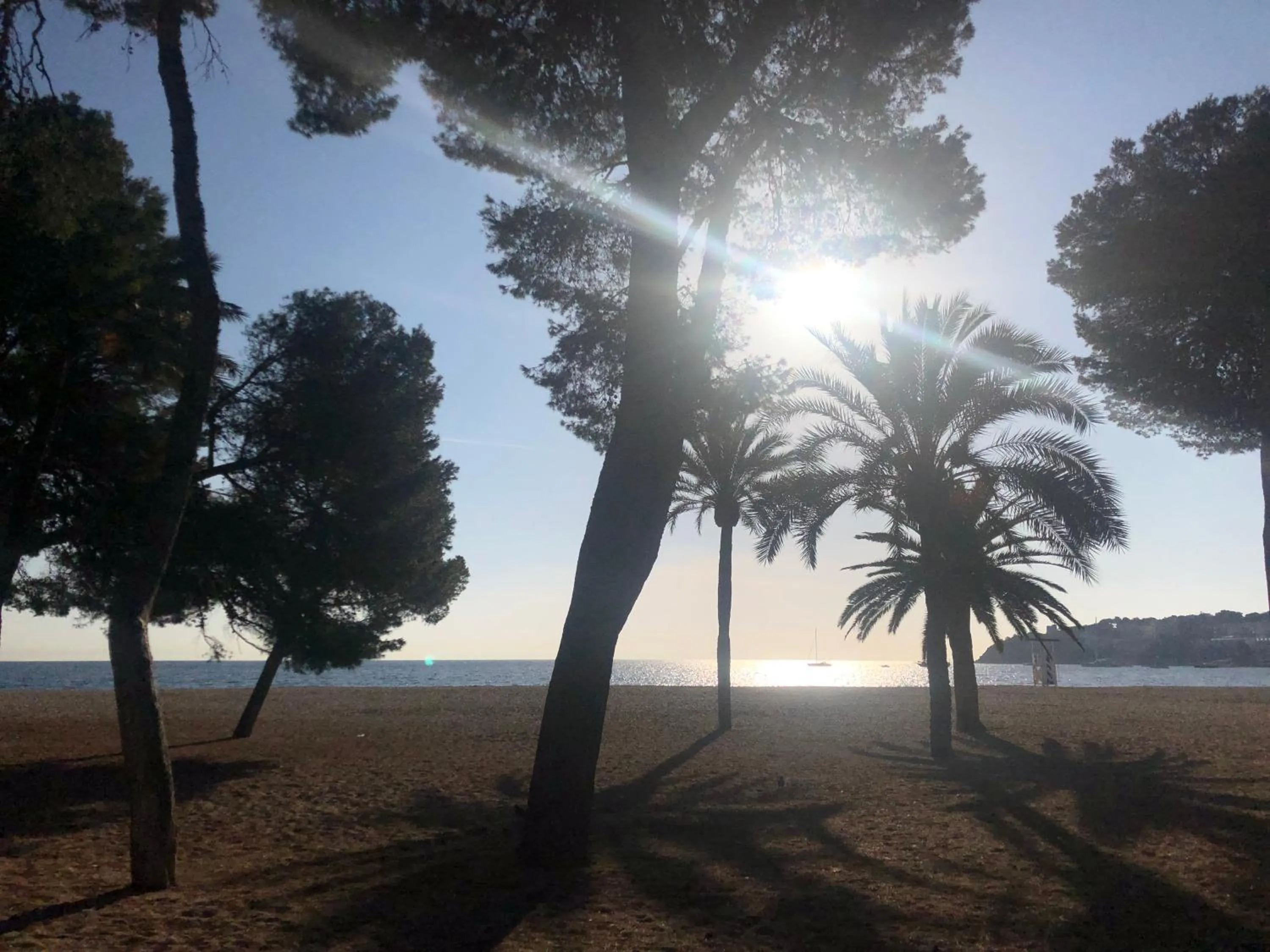 Neighbourhood in INNER Kompas Palmanova "Adults Only"