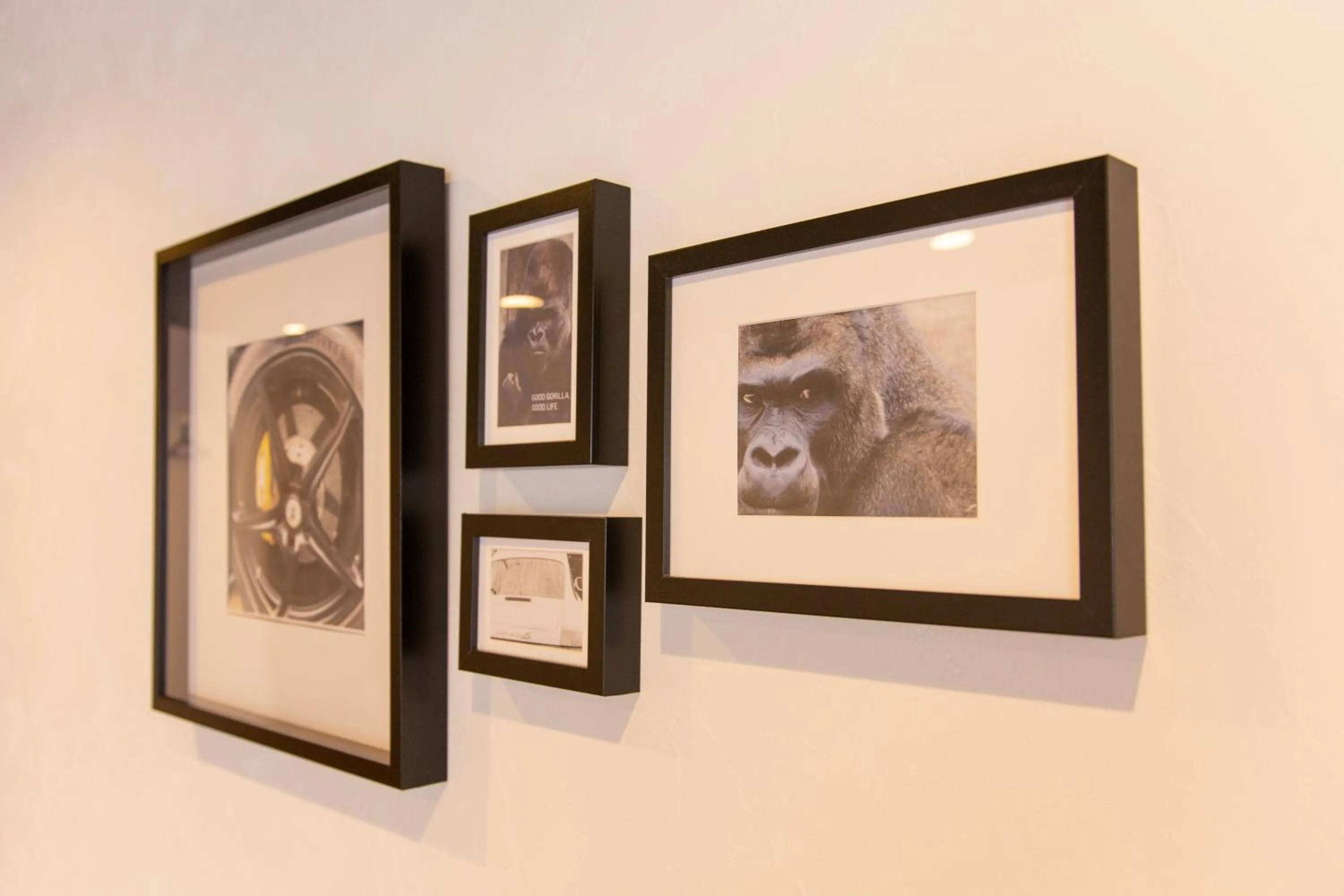 Guest House GORILLA!